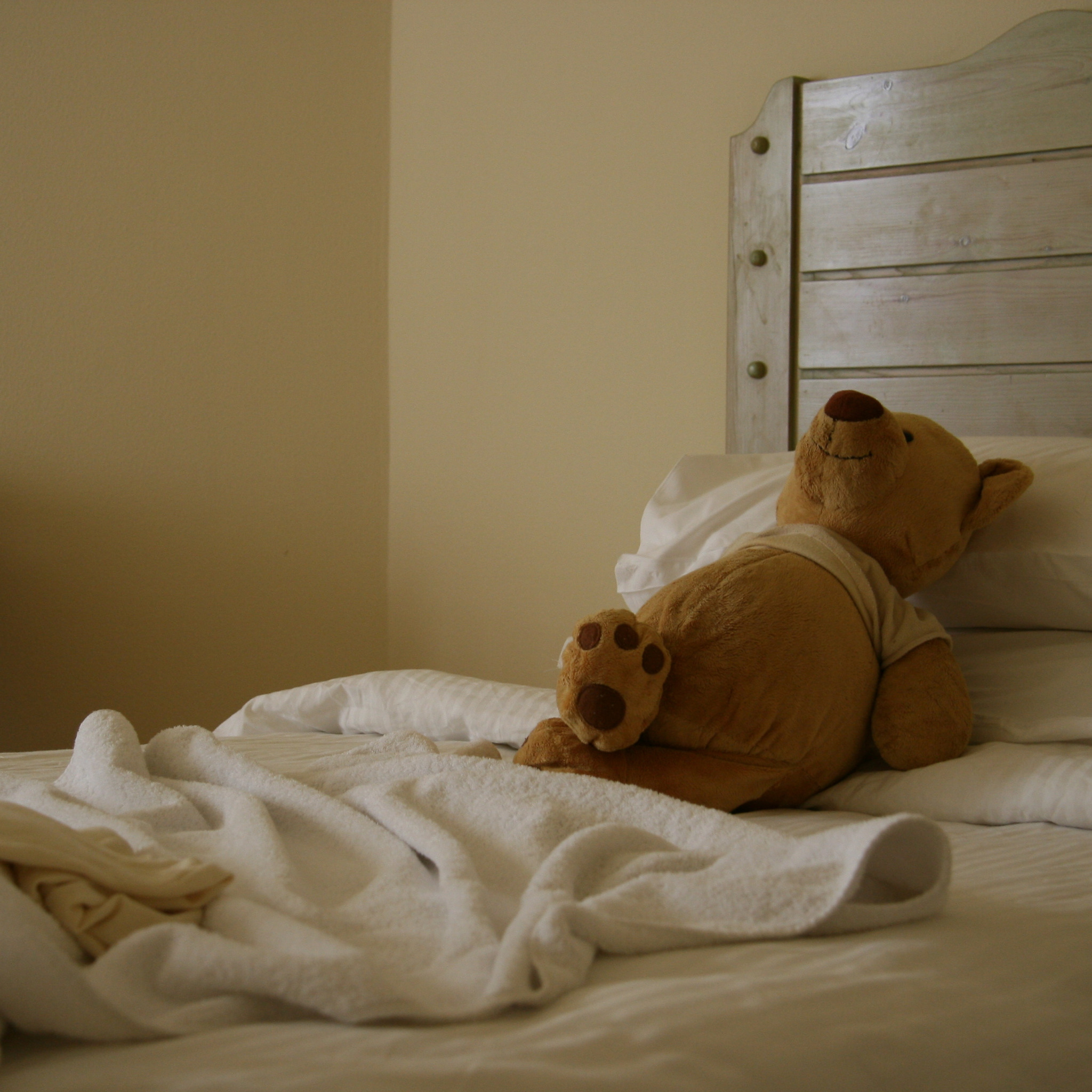 Мне не дадут спокойно спать. Медвежонок в постели. Кровать "мишки". Валяться в кровати.