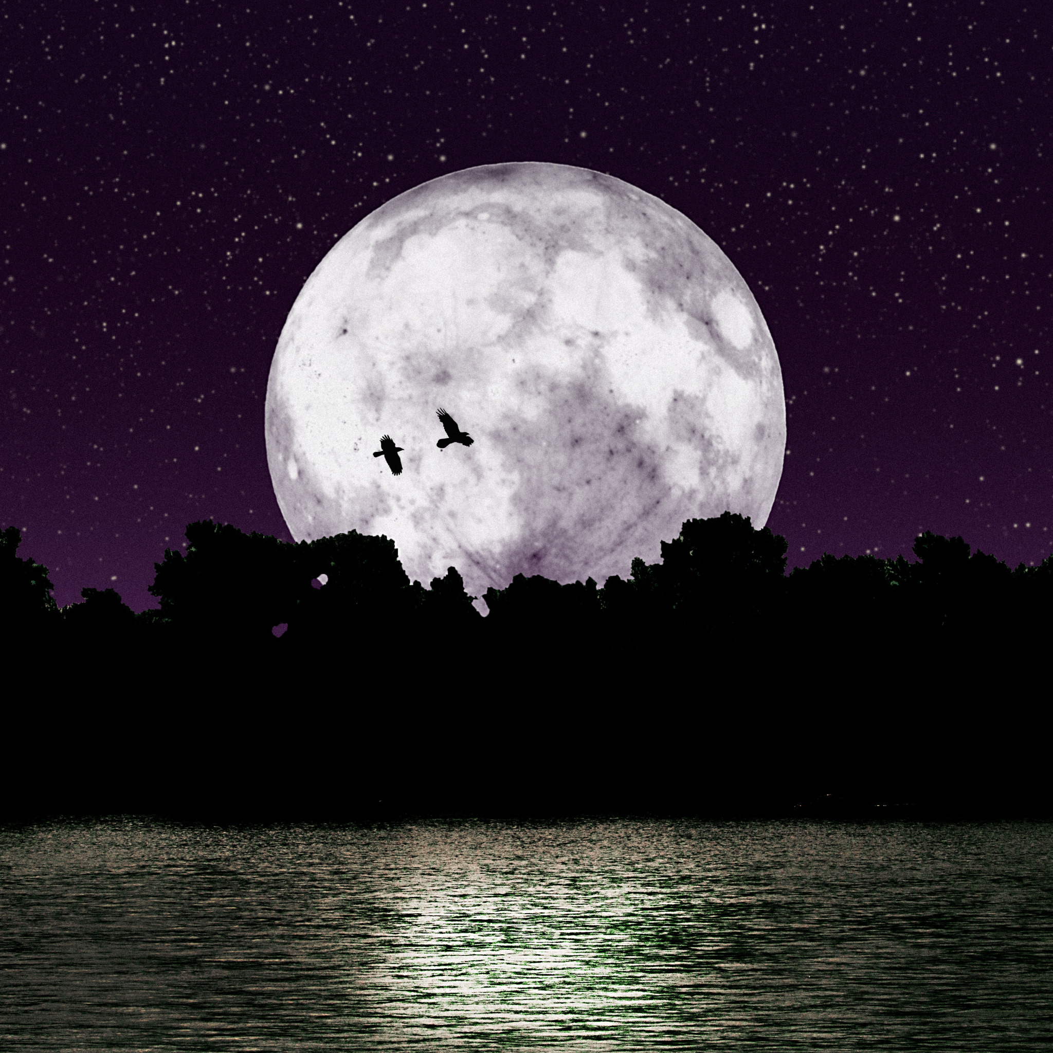 Красивая луна ответ. Красивая Луна. Огромная Луна. Ночь большая Луна. Изображение Луны.