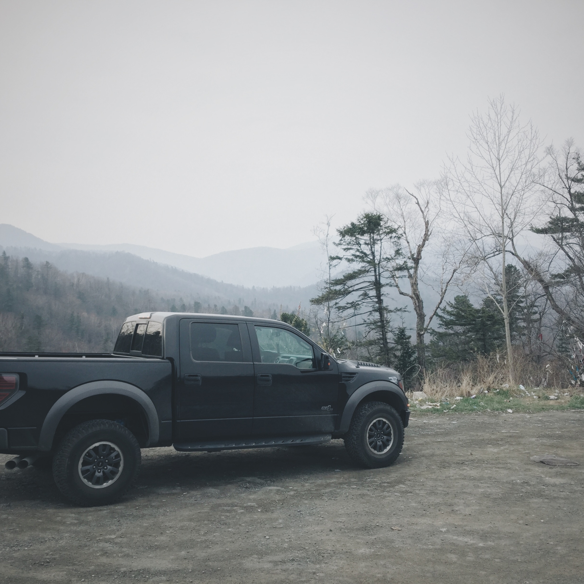 Скачать обои car, машина, лес, внедорожник, ford, форд, raptor, пикап,  раздел ford в разрешении 2048x2048