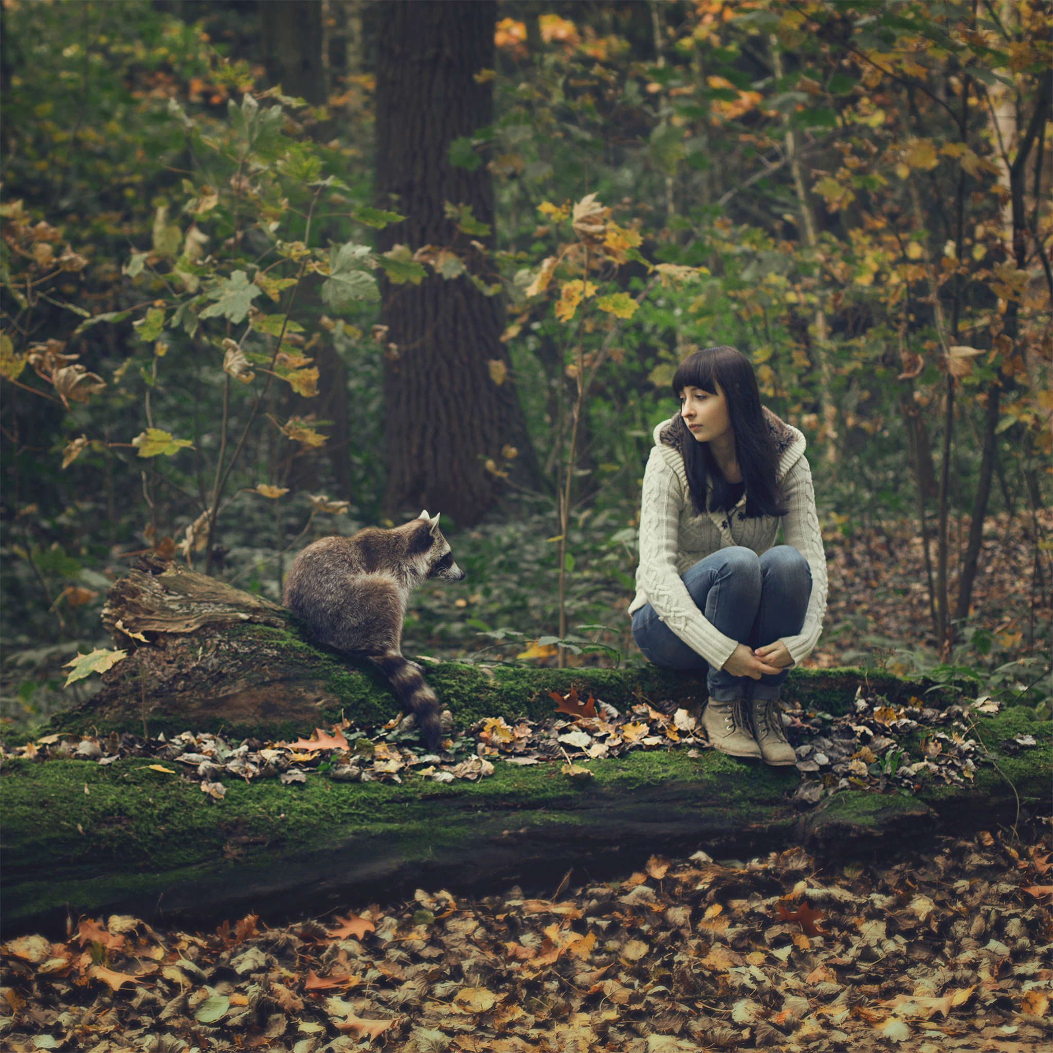Включи девочку в лесу. Девушка с енотом. Фотосессия с дикими животными. Девочка сидит в лесу. Фотосессия девушка сидит в лесу.