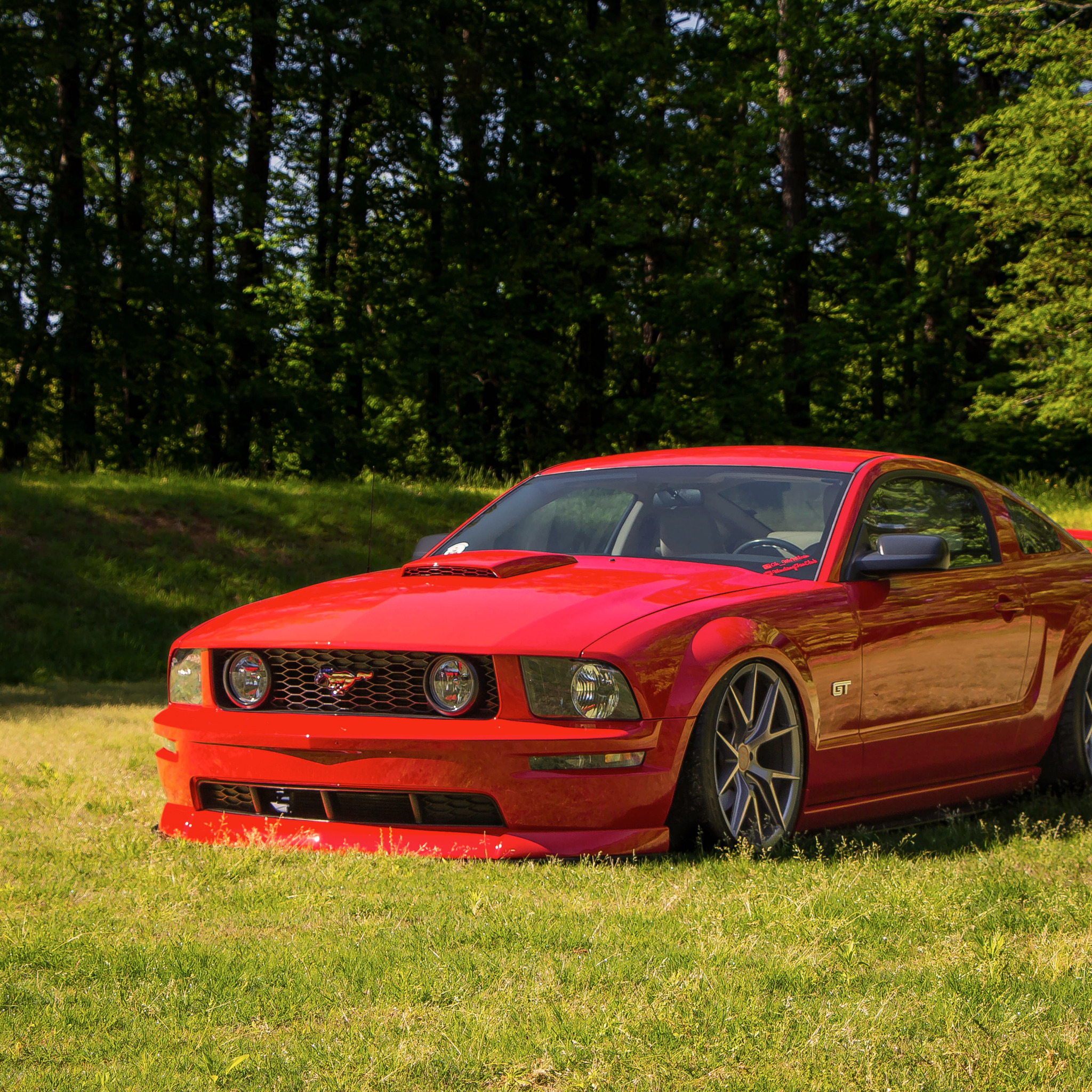 Ford Mustang gt 2005 РѕР±РѕРё