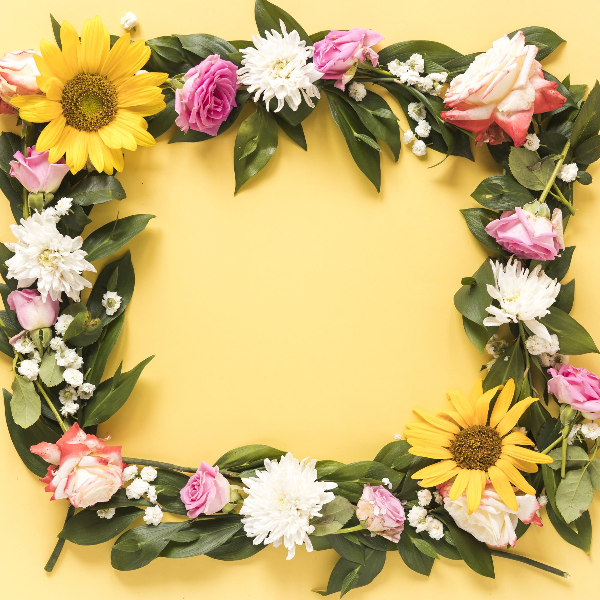 Венки фоны цветы. Frame with Flowers Wallpapers. Flowers background.