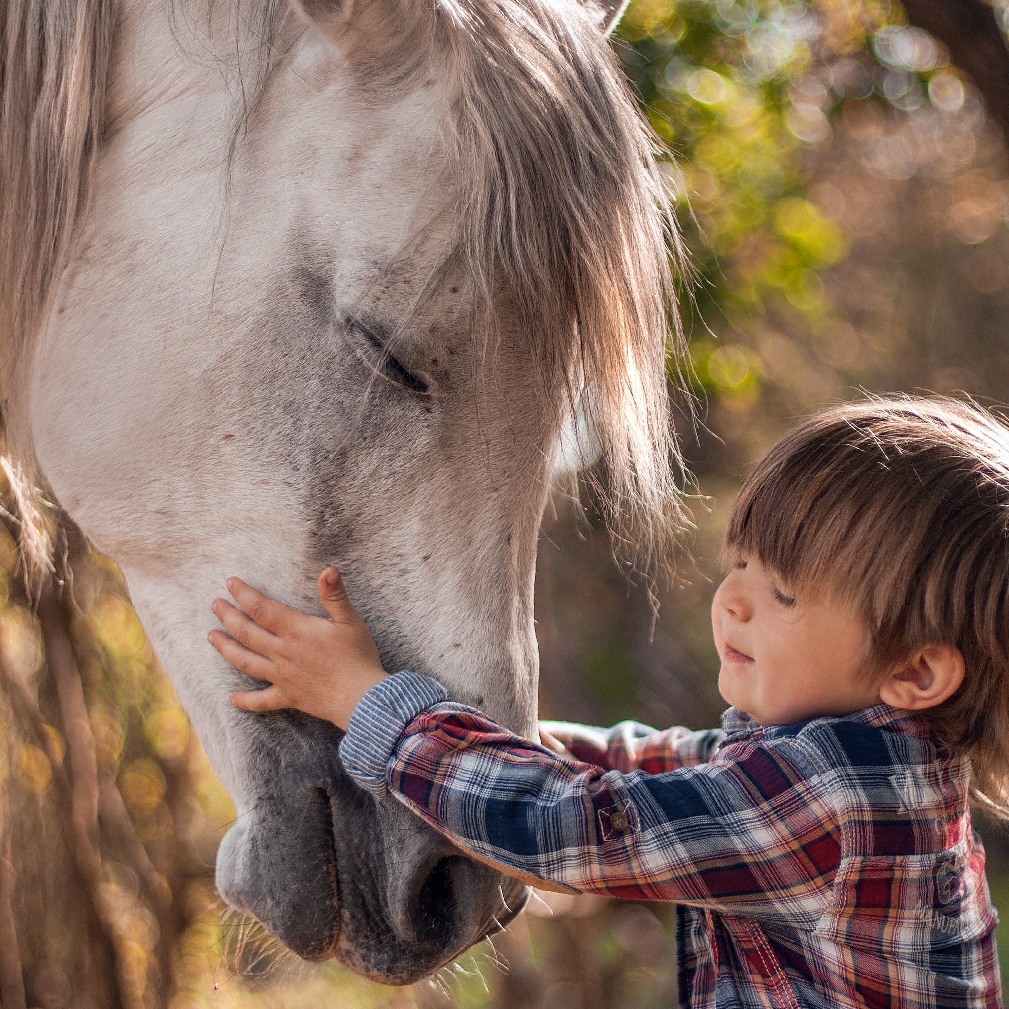 Мальчик на лошадке. Мальчик на лошади. Лошадь для детей. Детская фотосессия с лошадьми. Фотосессия с лошадьми дети.