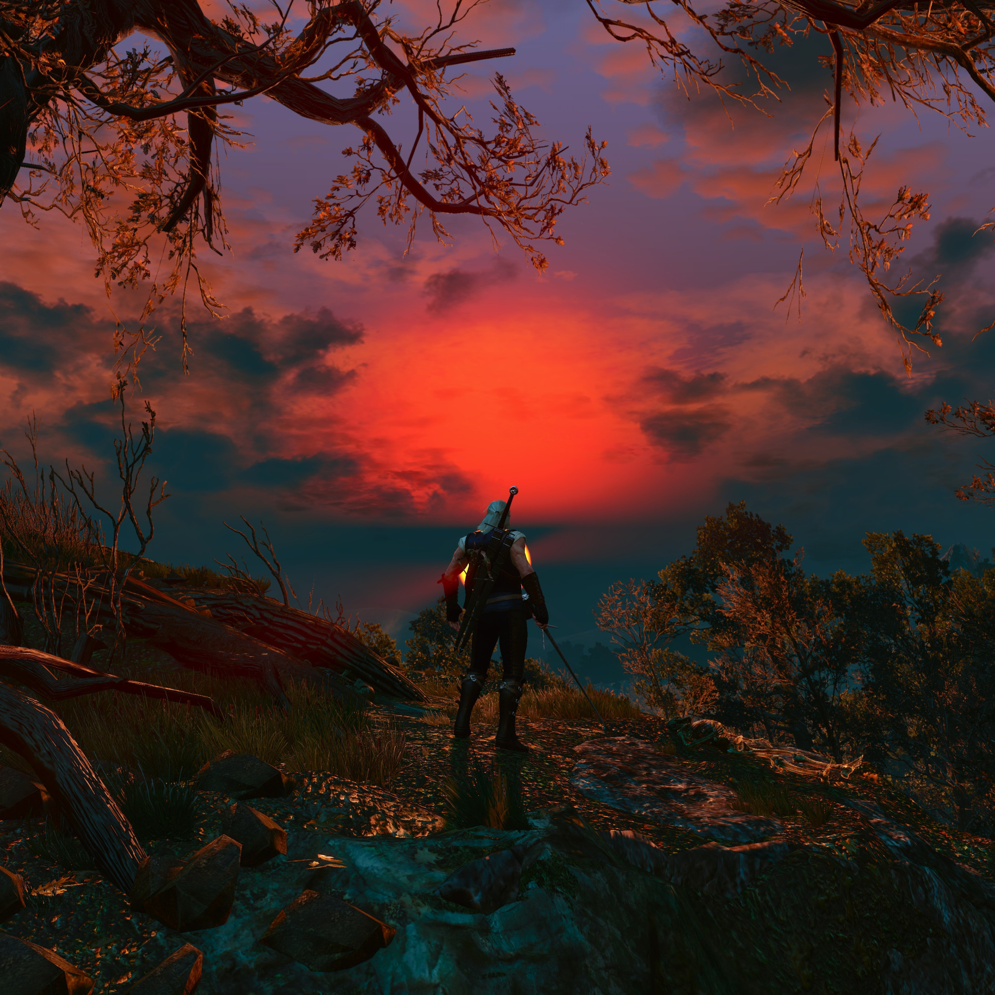 Silver for monsters doom version the witcher 3 фото 40