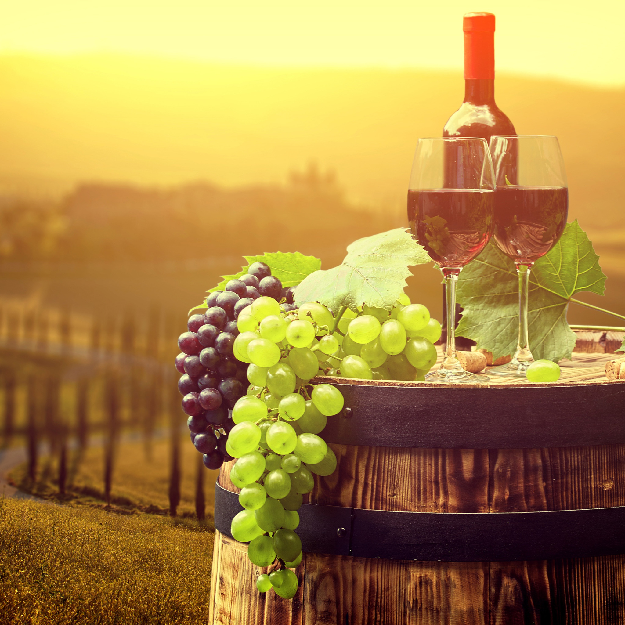 Вино и виноград. Виноградники и бокал. Виноградники вино. Виноделие виноградники.