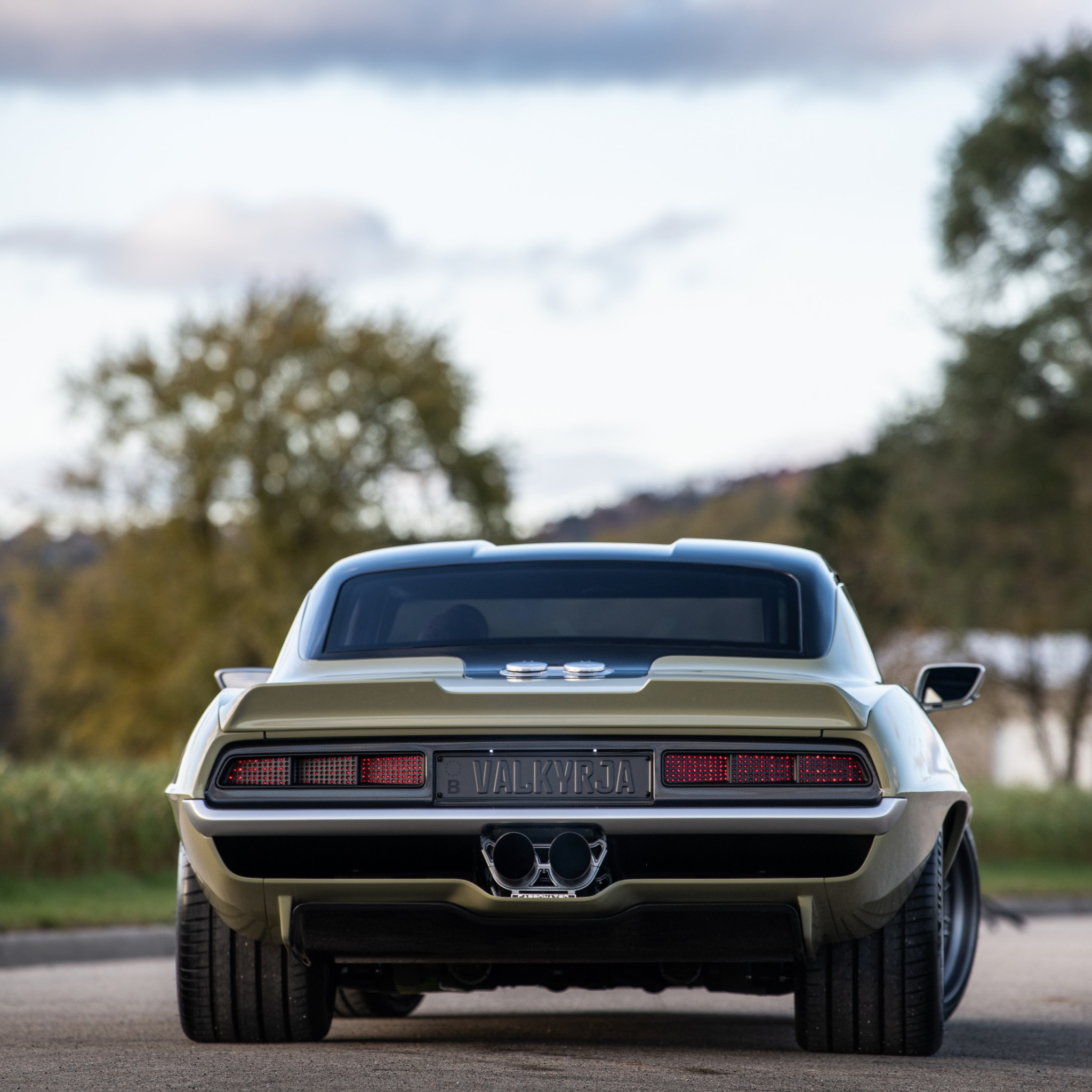 Pontiac Firebird 1969 Chevrolet Camaro