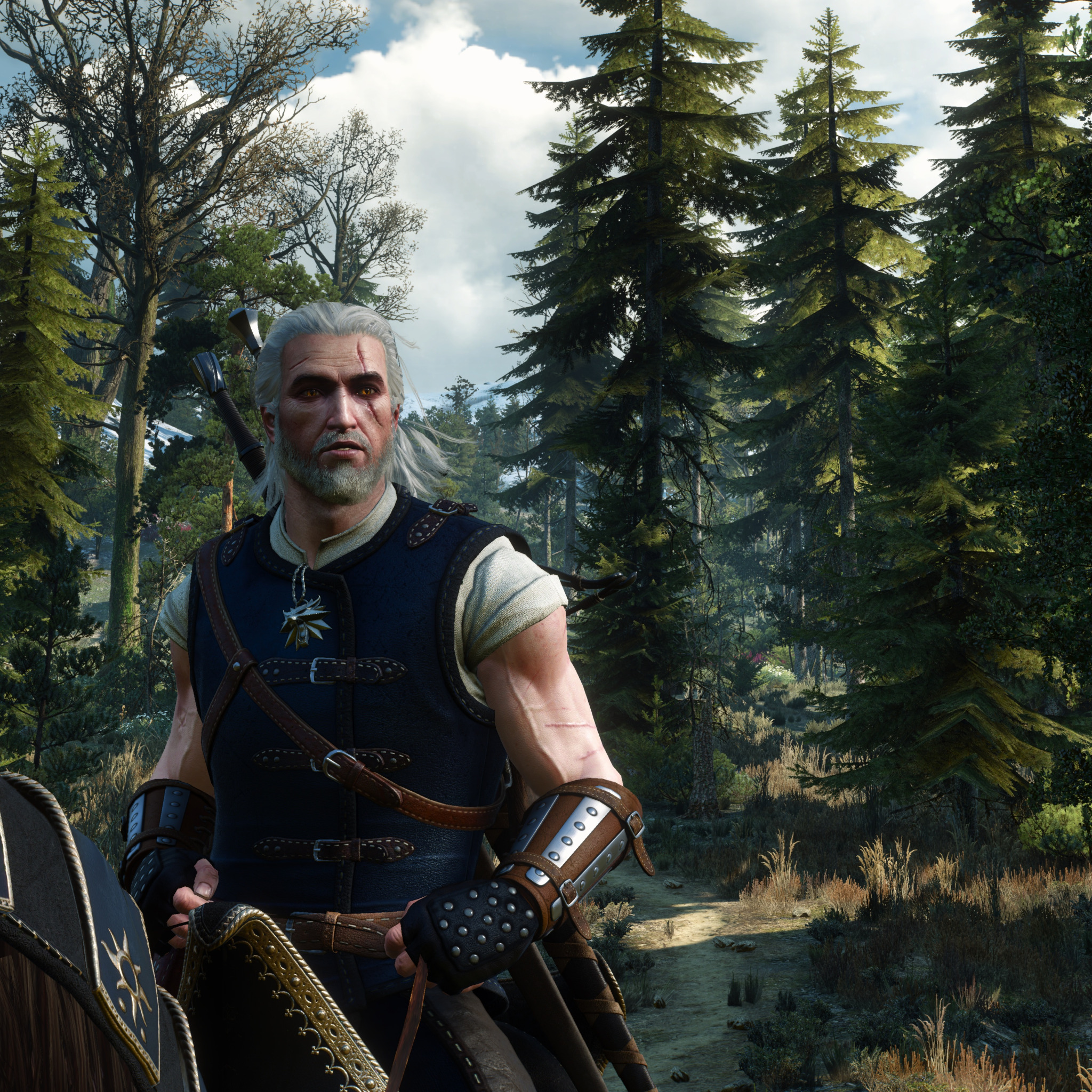 The witcher 3 with season pass фото 59