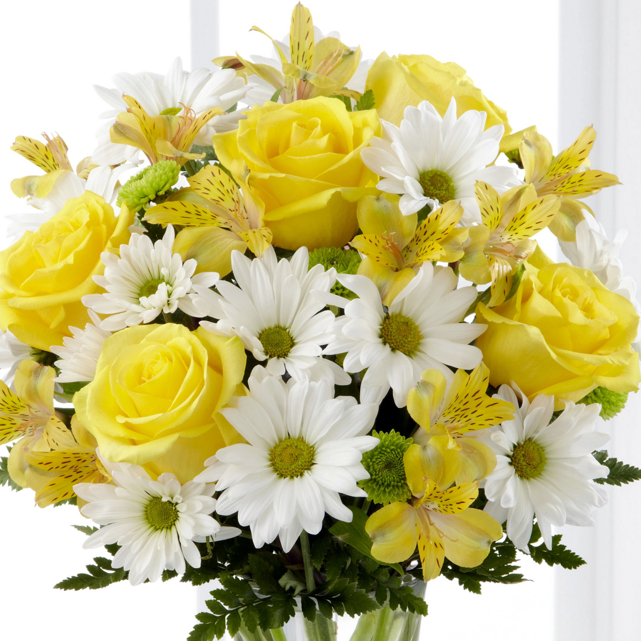 Желтые цветы которые дарят на 8. Хризантема Ромашковая желтая. Желтые Ромашковые хризантемы букет. 31 Хризантема букет. Розы хризантемы и ромашки.