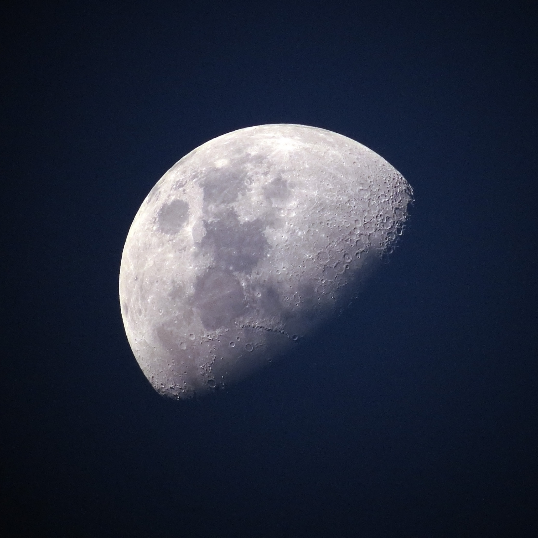 Какие животные первыми облетели вокруг луны. Луна астрономия. Wolf 1061 c.