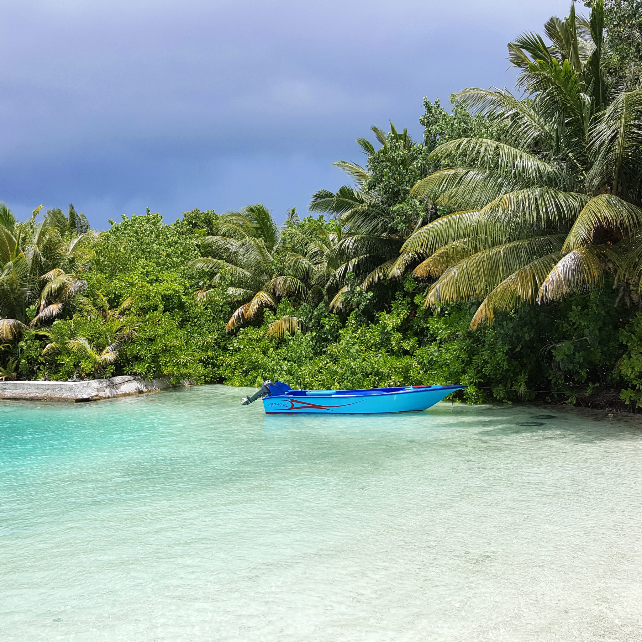 Boat island. Остров гавань Мальдивы. Лодка Мальдивы пальмы. Пальмы гавань. Обои рабочий стол Мальдивы лодка.