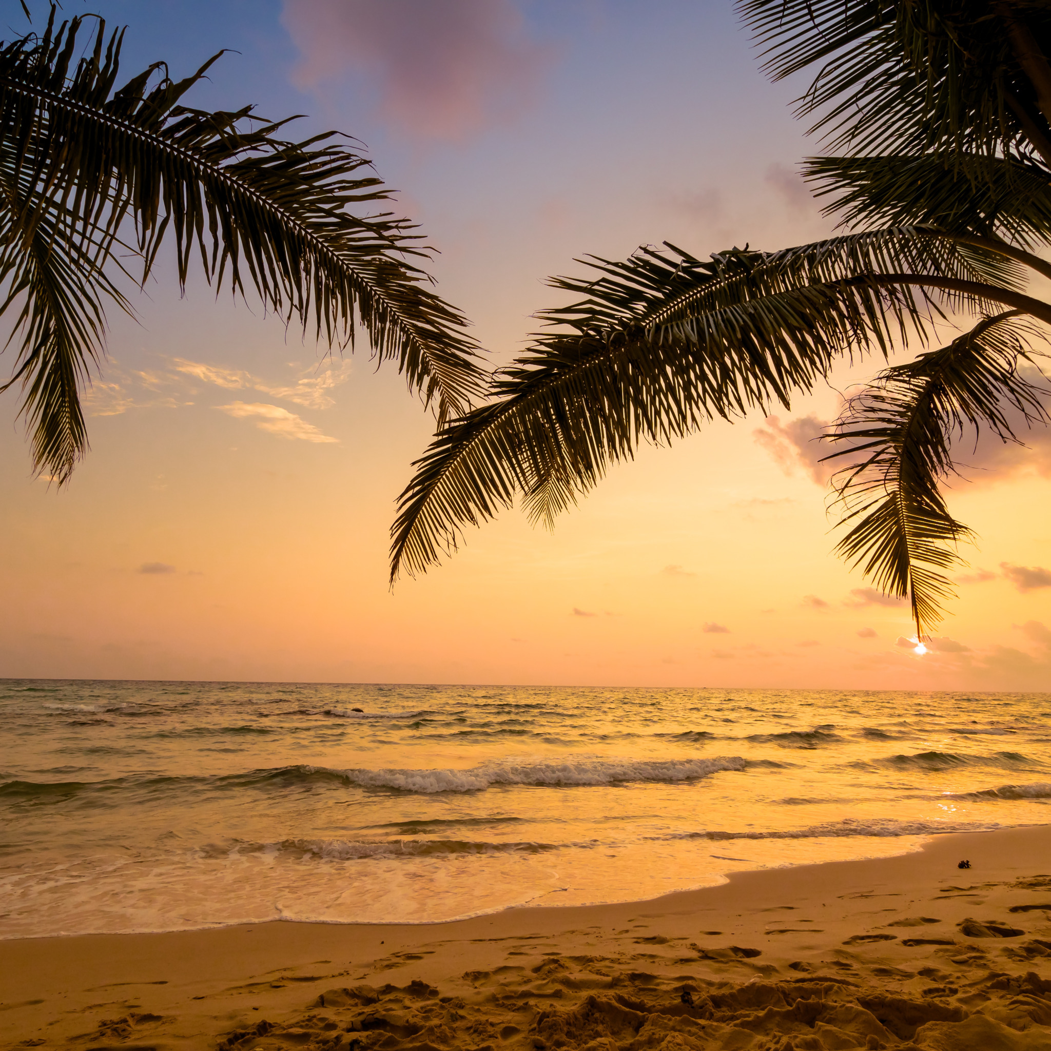 море пляж пальмы волны