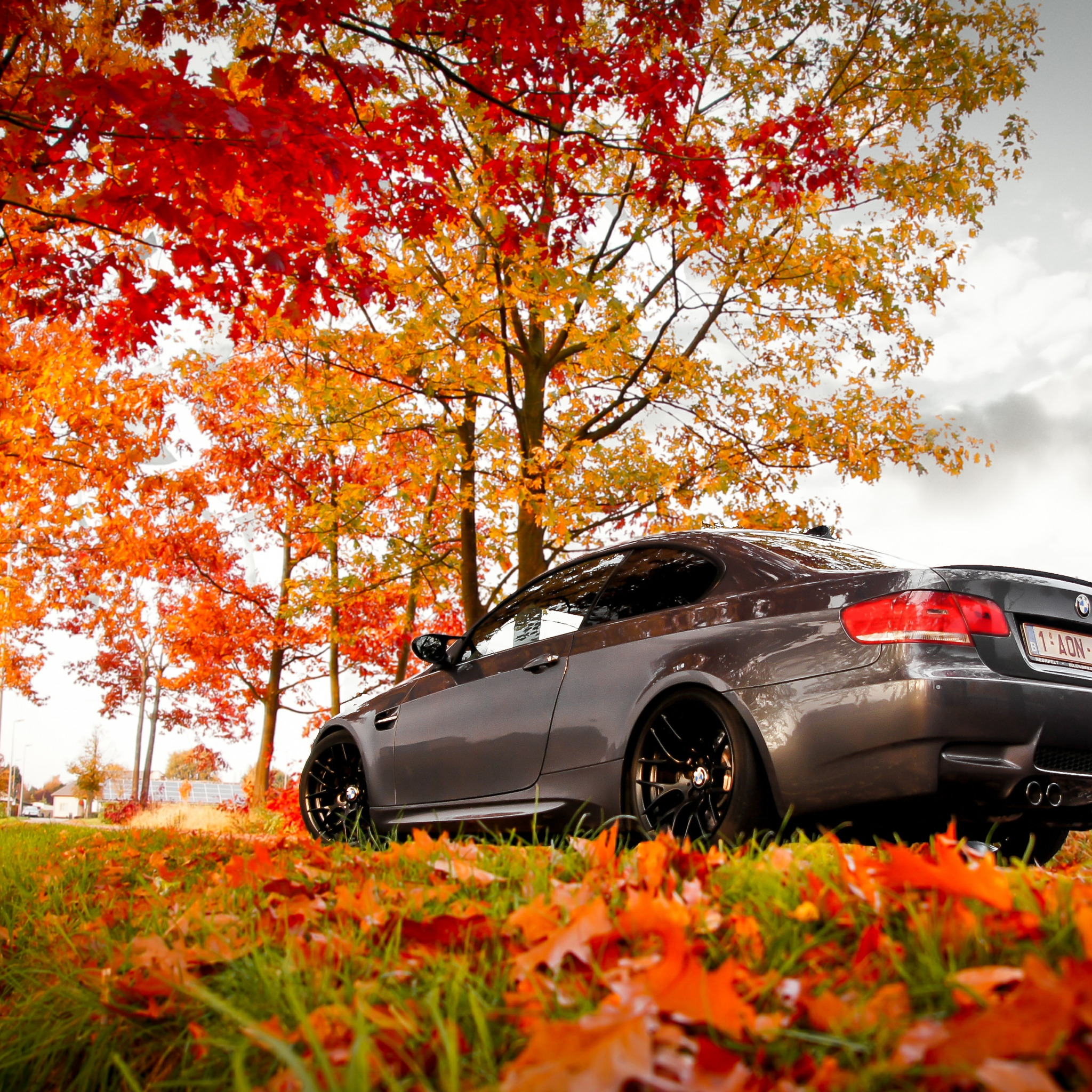 Porsche 911 autumn