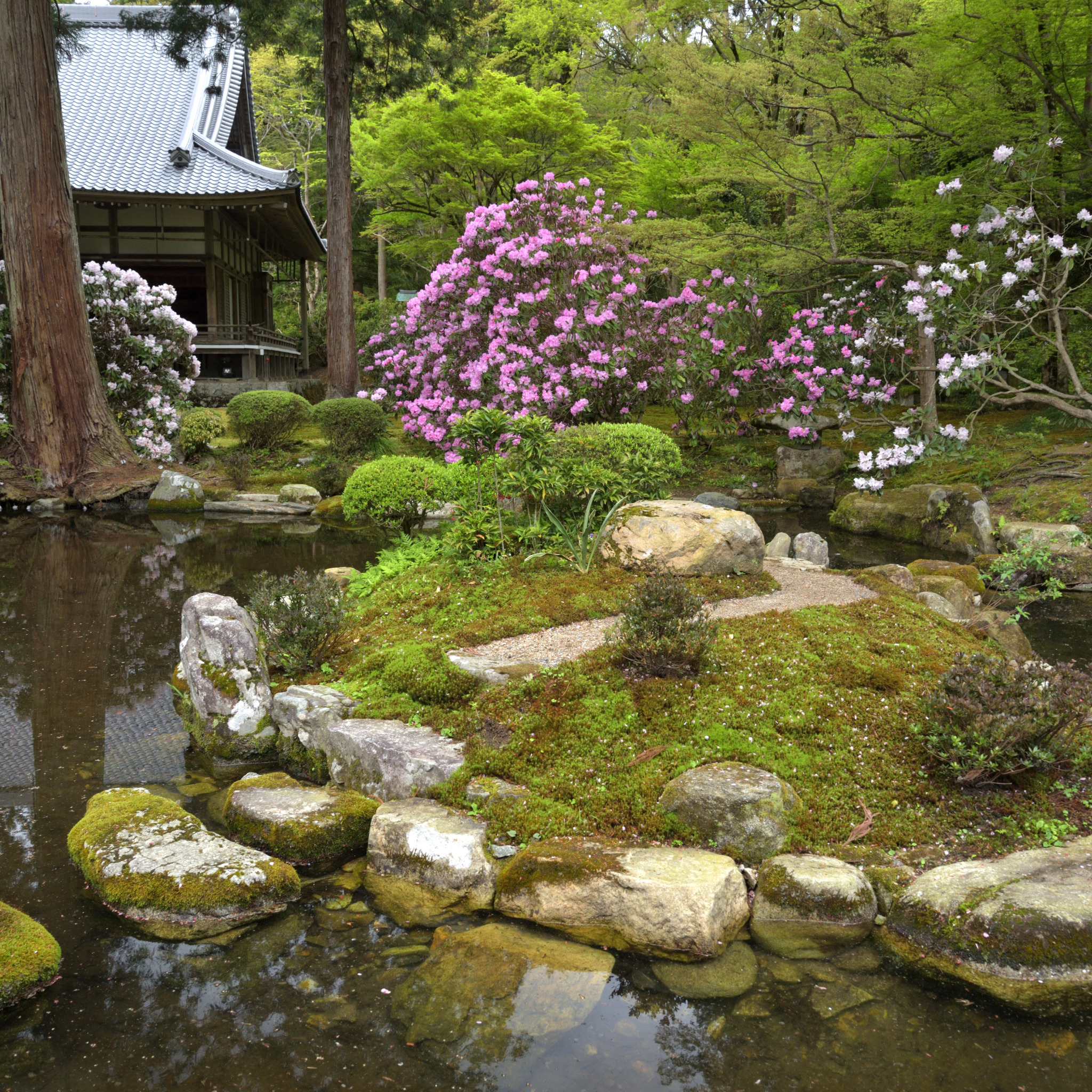 Японский пруд. Сад японский Кауден Шотландия. Японский сад в Киото. Ручей. Японский Каменистый сад.