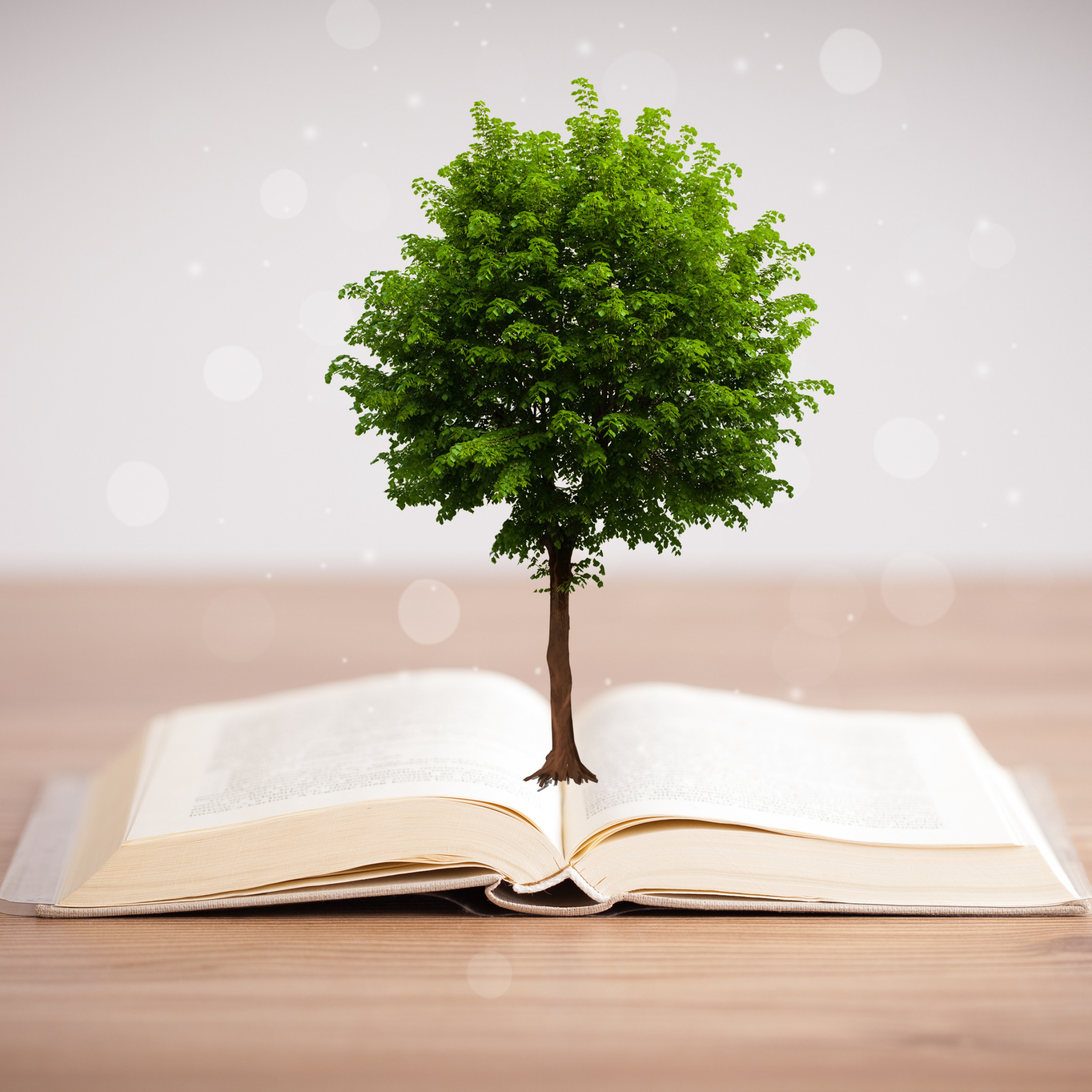 Дающее дерево книга. Дерево с книгами. Дерево с книжками. Дерево знаний. Надпись дерево знаний.