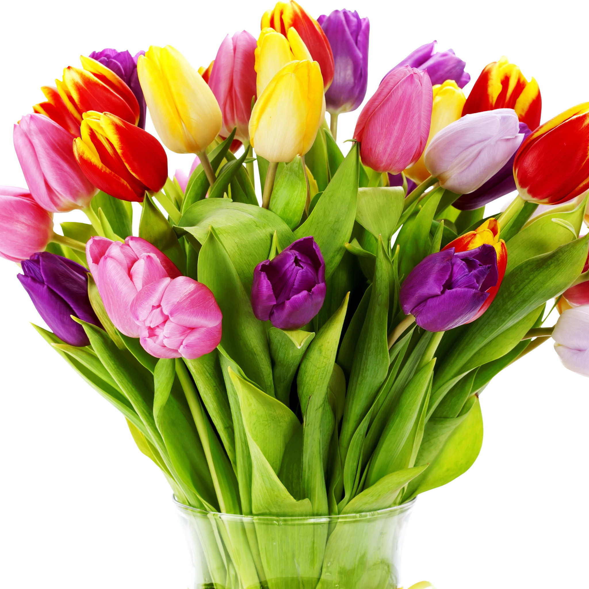 Открытка с днем рождения тюльпаны с пожеланиями. Букет тюльпанов. Красивые тюльпаны. С днём рождения тюльпаны. Весенний букет.