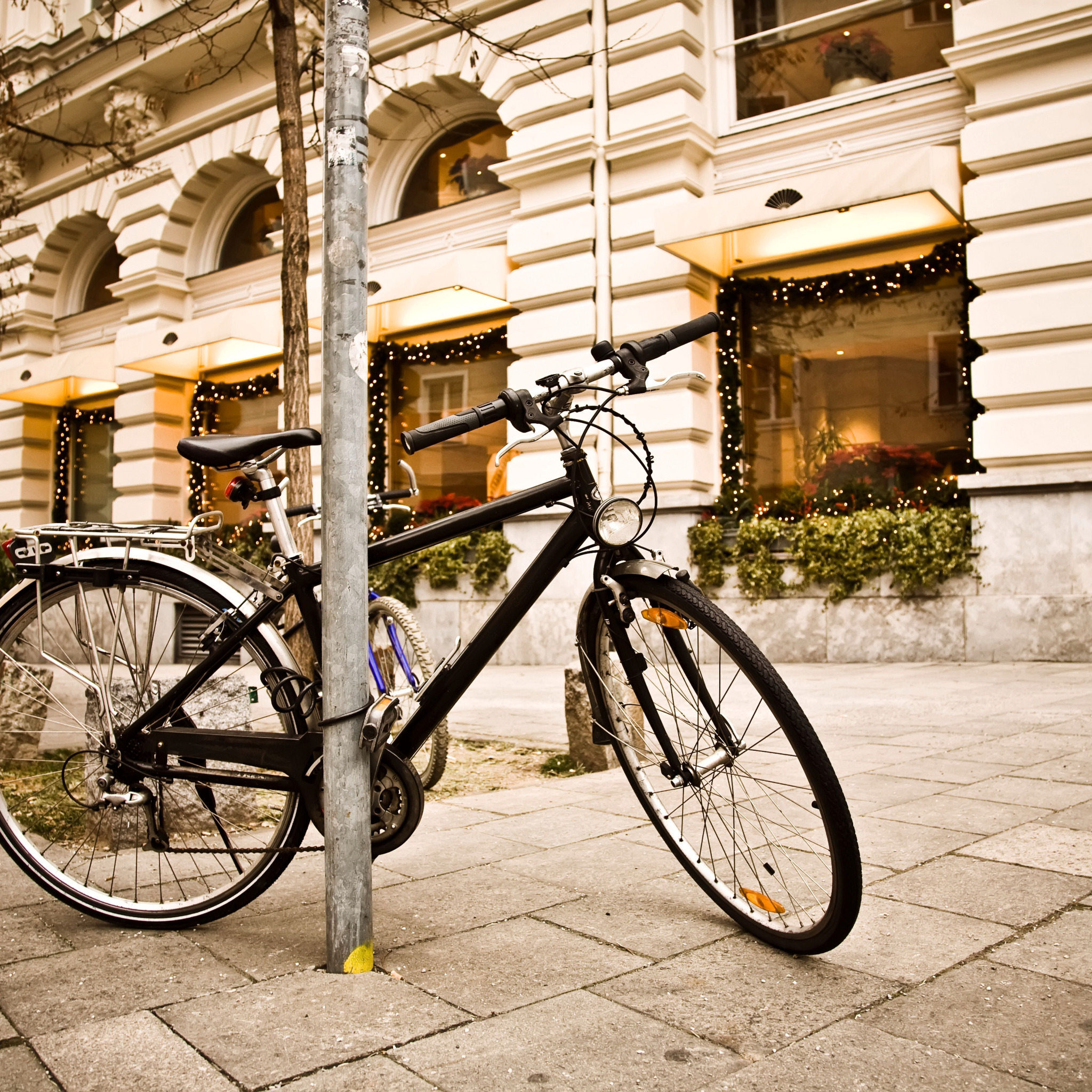 Www bike. Красивые велосипеды. Городской велосипед. Велосипед на улице. Красивый городской велосипед.