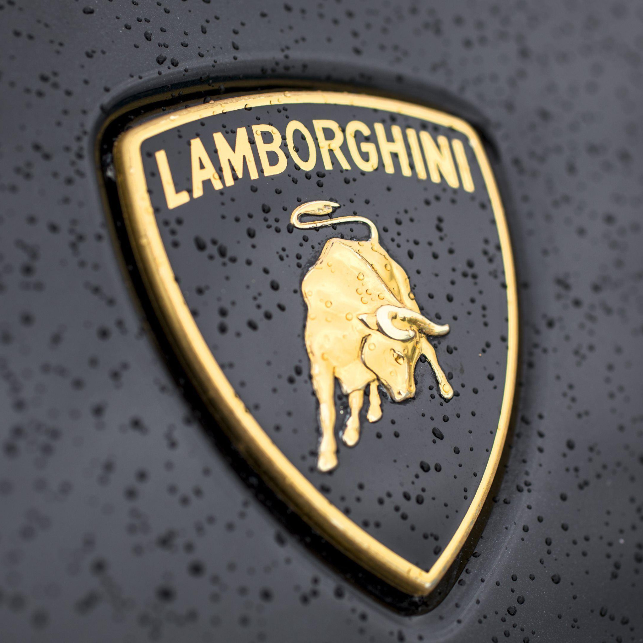 Новый значок ламборгини. Lamborghini эмблема. Герб Ламборгини. Бык Ламборгини. Значок машины Ламборджини.