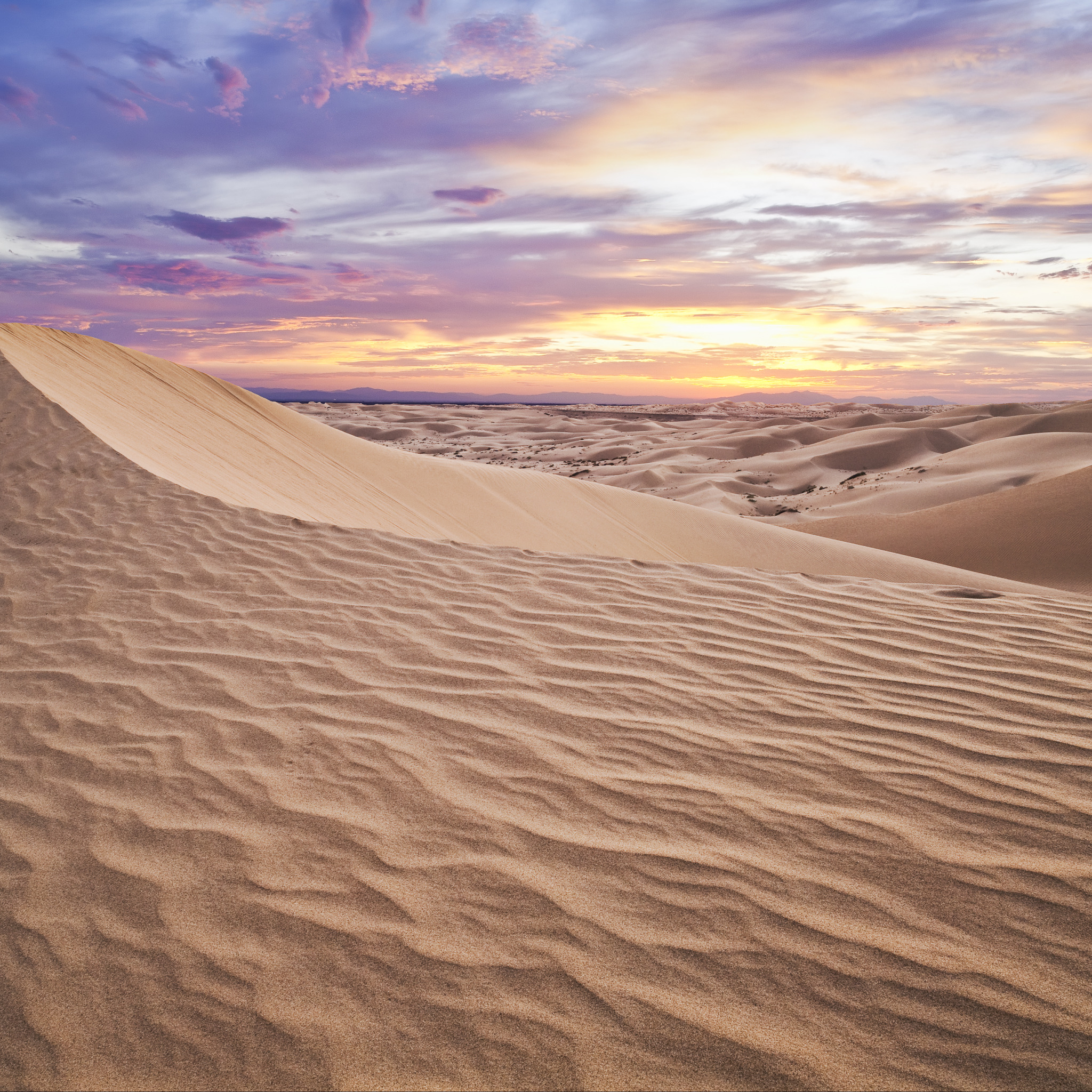 Пустыня. Эоловые дюны Амур. Бархан рельеф. Песчаные дюны с барханами Египта. Параболические дюны.