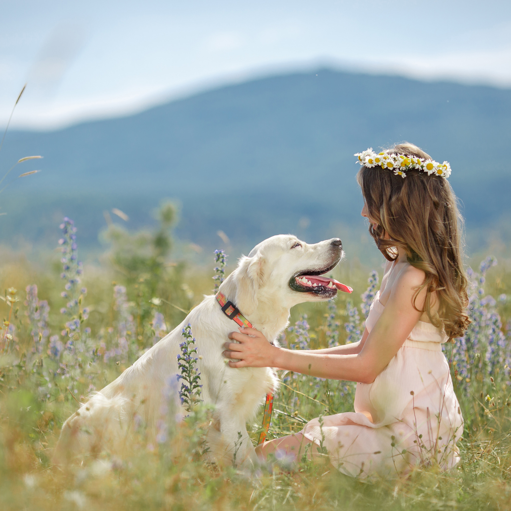 Девочка 12 лет с собакой. Фотосессия с собакой летом. Девочка с собакой. Девушка и собака лето. Фотосессия с собакой на природе.