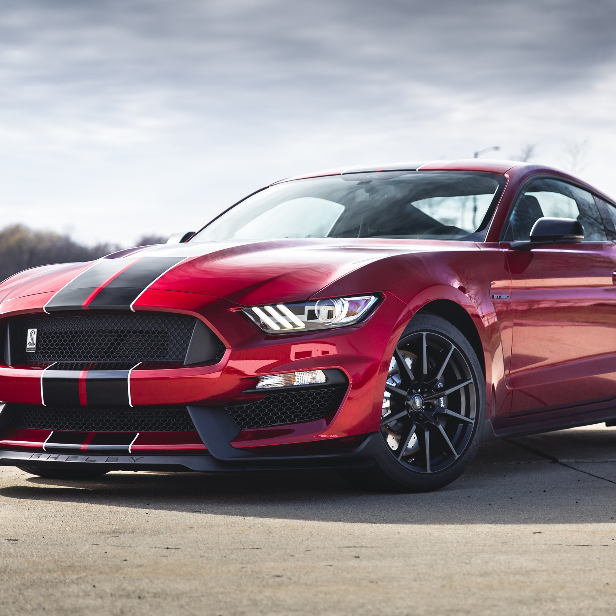 Shelby Mustang Cobra gt350