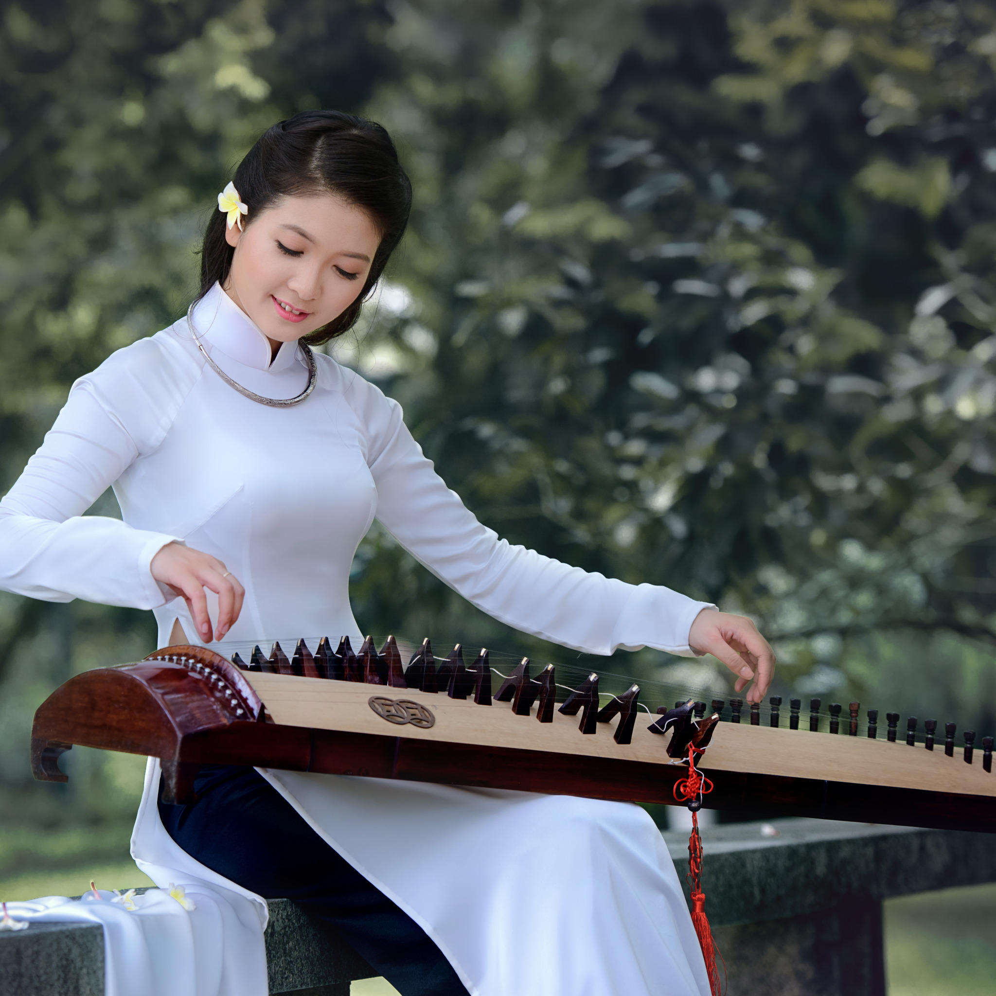 Asia music. Китаянка с музыкальным инструментом. Девушка в платье и музыкальный инструмент. Китайские девушки с инструментом музыкальным. Платье с музыкальными инструментами.