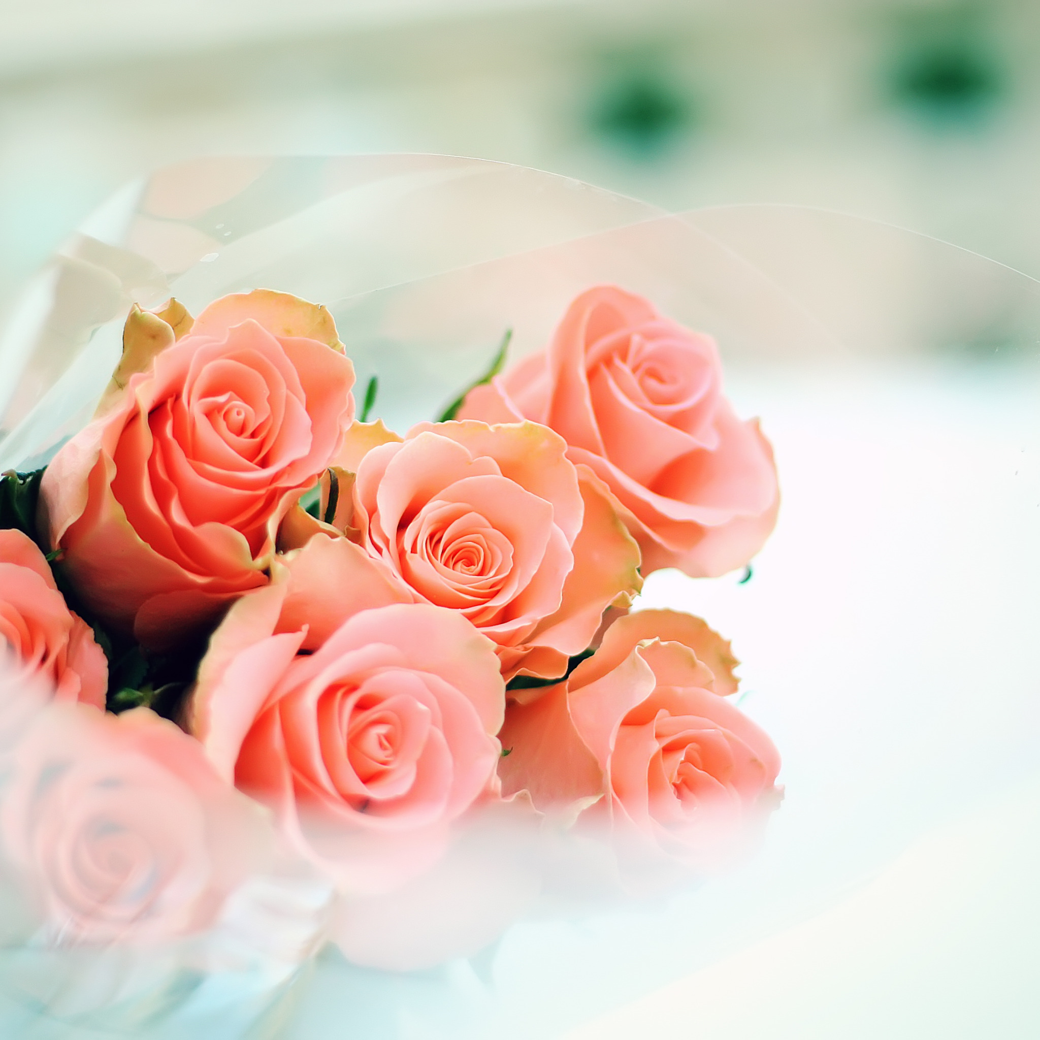 Поздравления куме 50 лет. С днем рождения. Открытки с розами красивые. Цветы женщине красивые и нежные. Нежное поздравление с днем рождения.