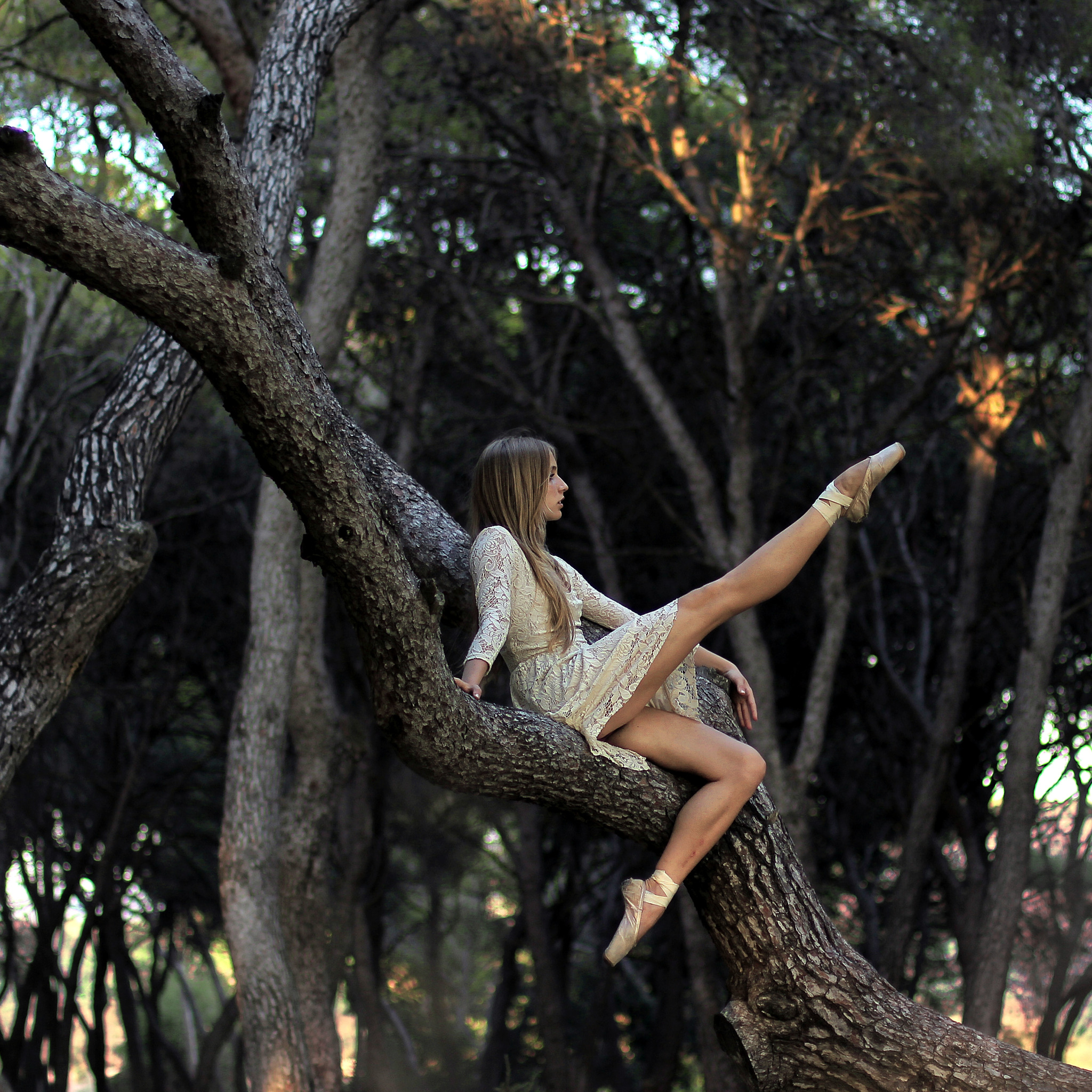Бывшая позирует. Позы для фотосессии в лесу. Поза дерева. Фотосессия на дереве. Девушка возле дерева.