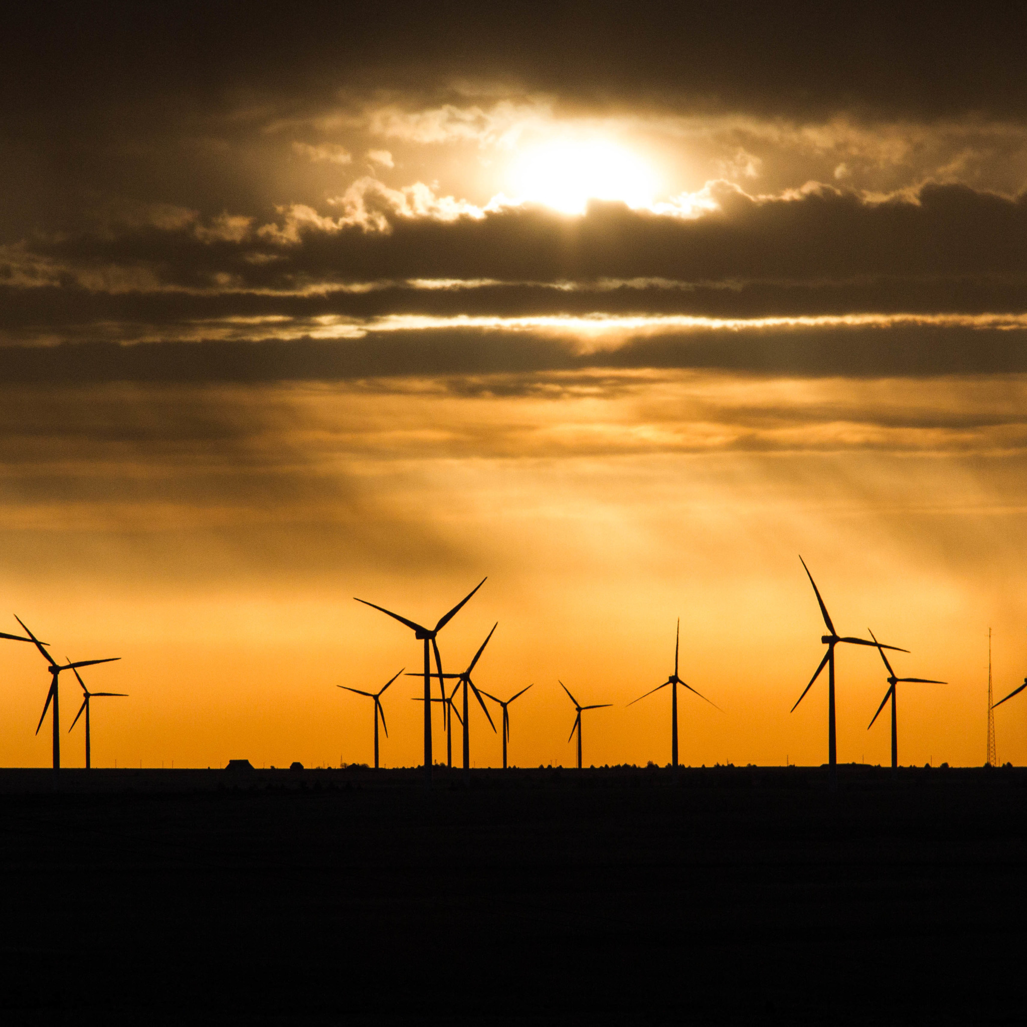 Wind state. Wind Farm America. Wallpaper Wind Farms. Wind Farms Pros and cons. Wind Farm Cafe.