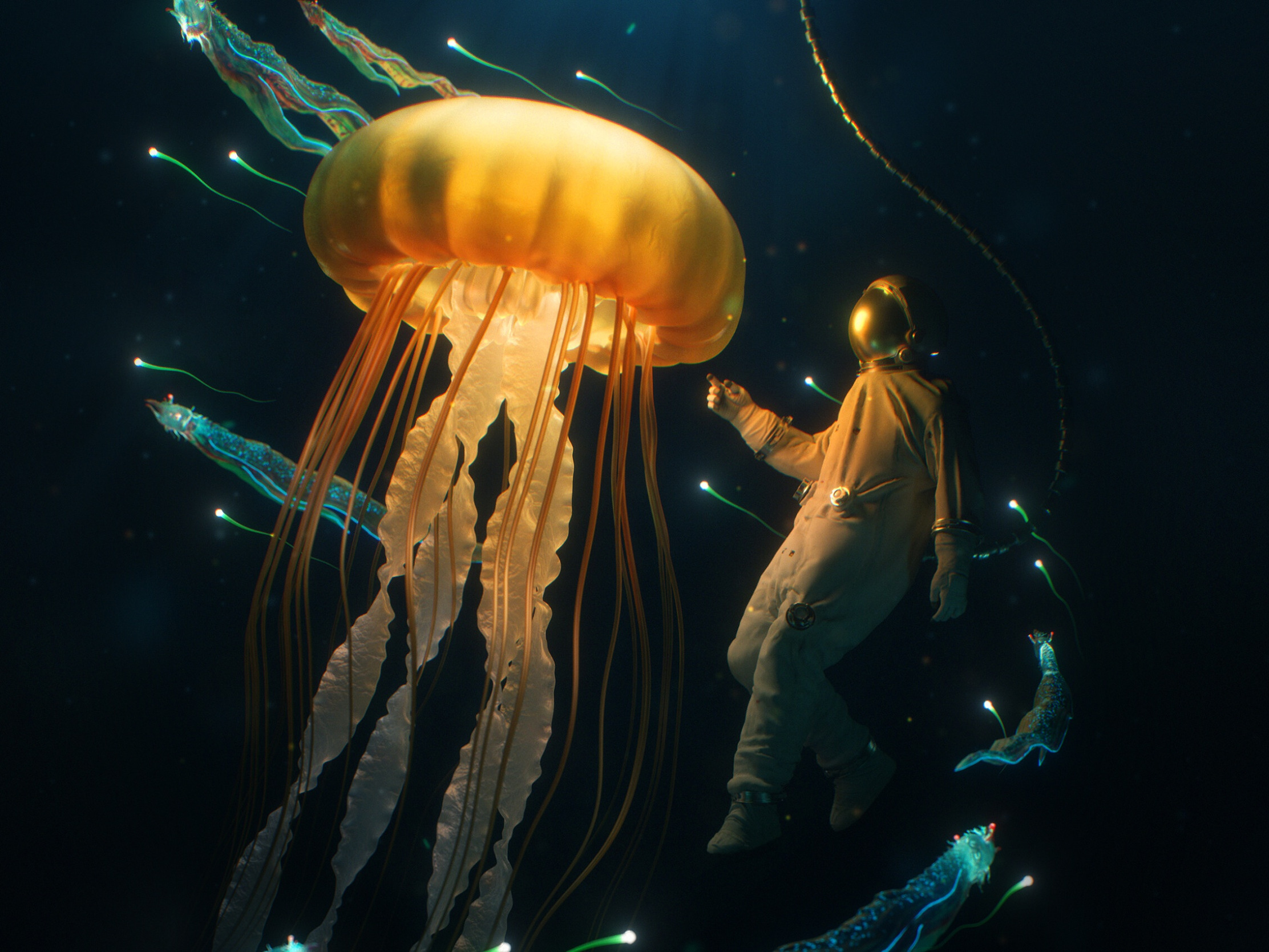 Звук морской глубины. Подводный мир. Глубоководный мир. Подводный мир медуза фэнтези. Глубоководный фон.