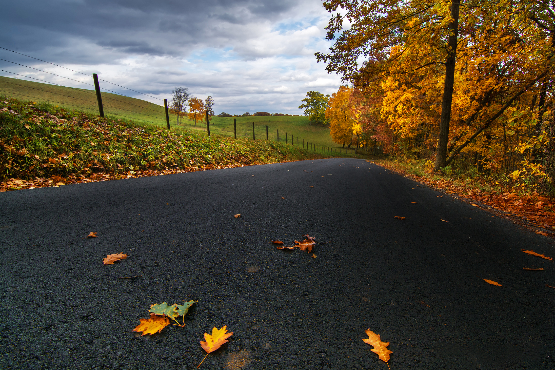 М5 асфальт осень. Осенняя дорога. Осенняя листва на дороге. Осенние листья на дороге. Осень асфальт.