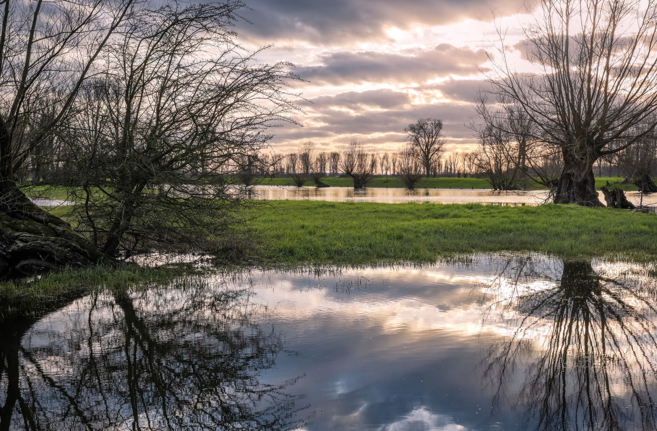 Reflection 4