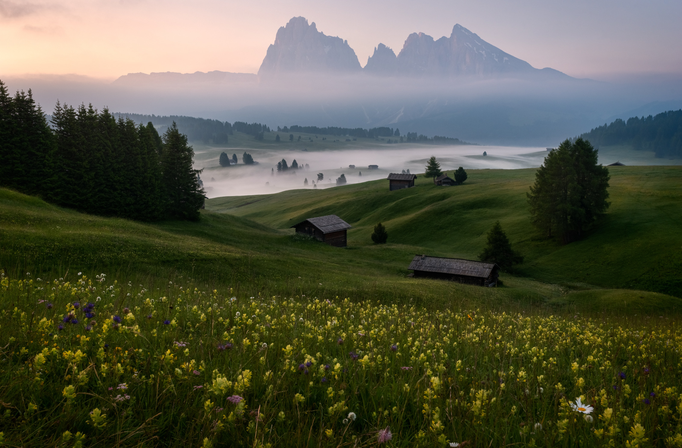 лес, горы, туман, Альпы, луг, домик