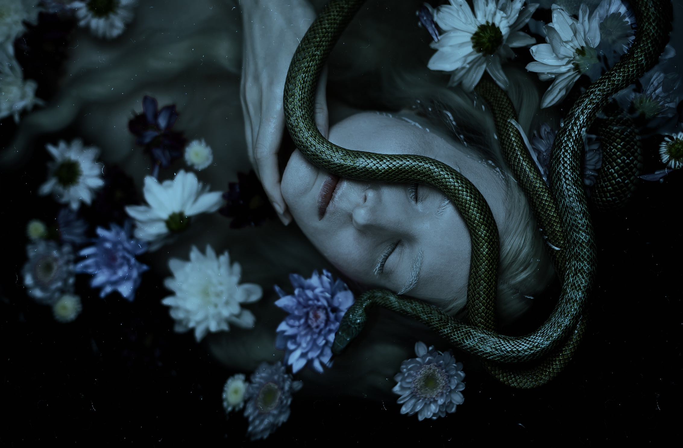 Сон белая змея к чему снится