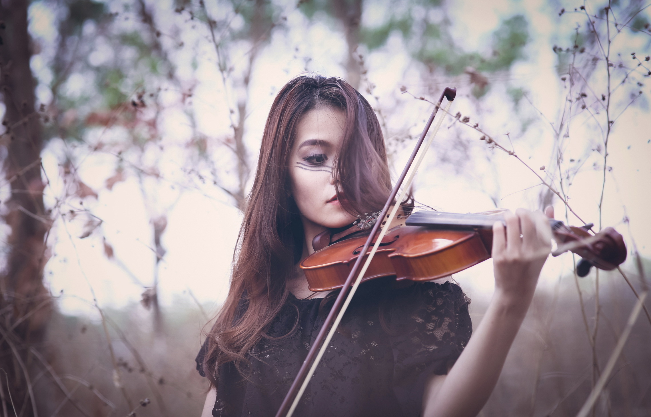 Песня саруханова скрипка. Скрипка фото.