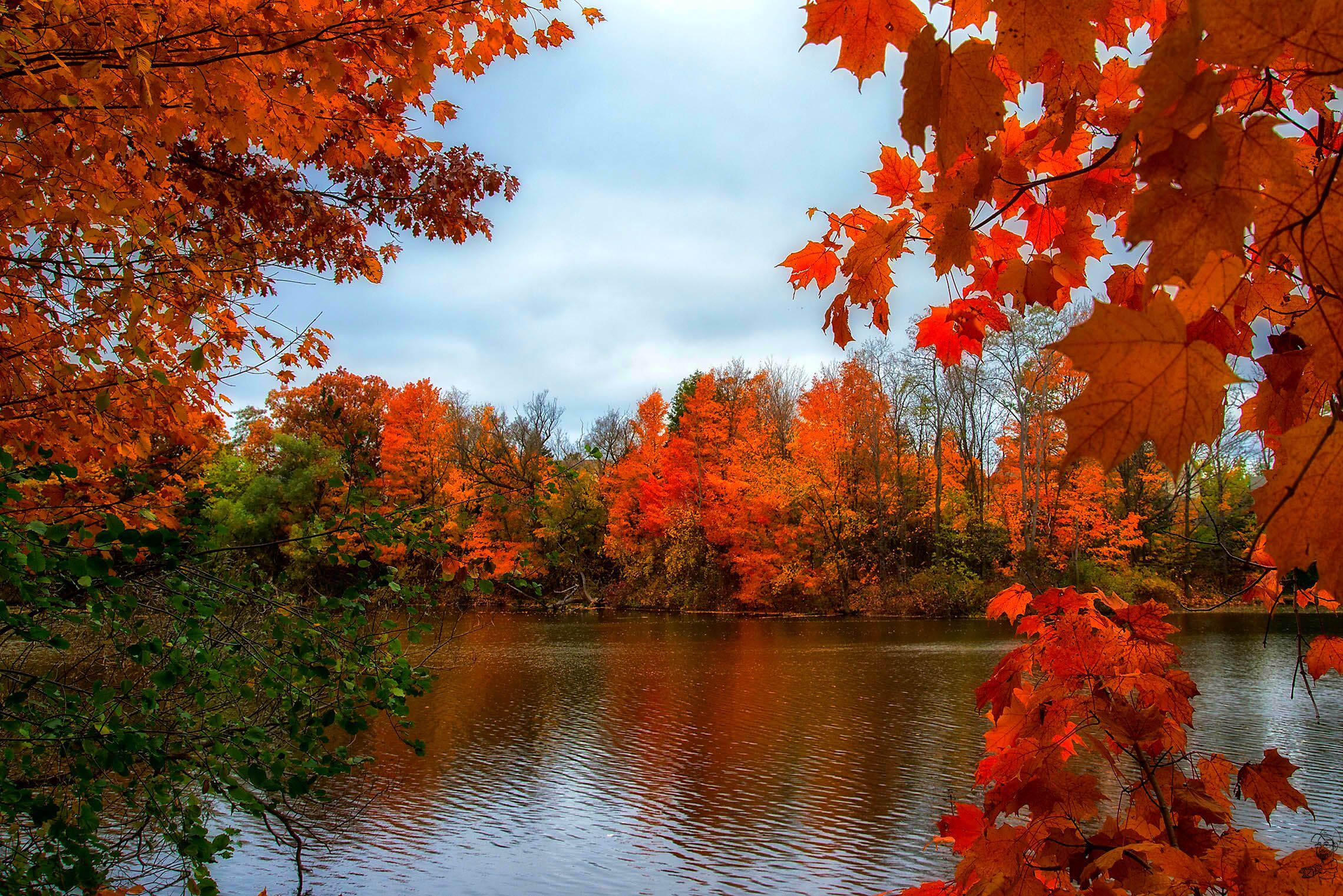 Виды осени. Осень. Красивая осень. Природа осень. Осенот.