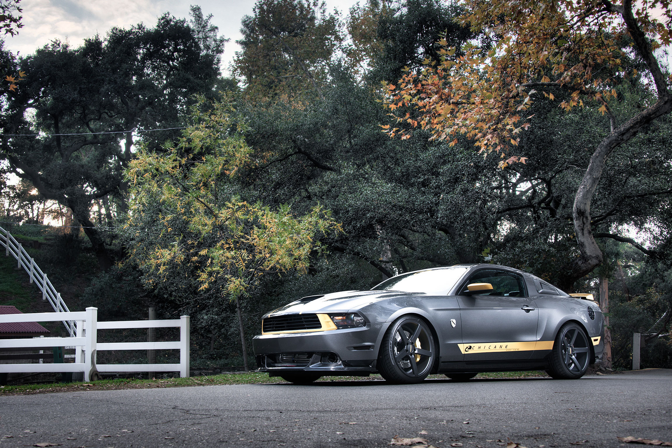 Сад машина. Ford Mustang 4k. Ford Mustang Shelby 2022. Форд Мустанг Мускул кар. Ford Mustang Silver.