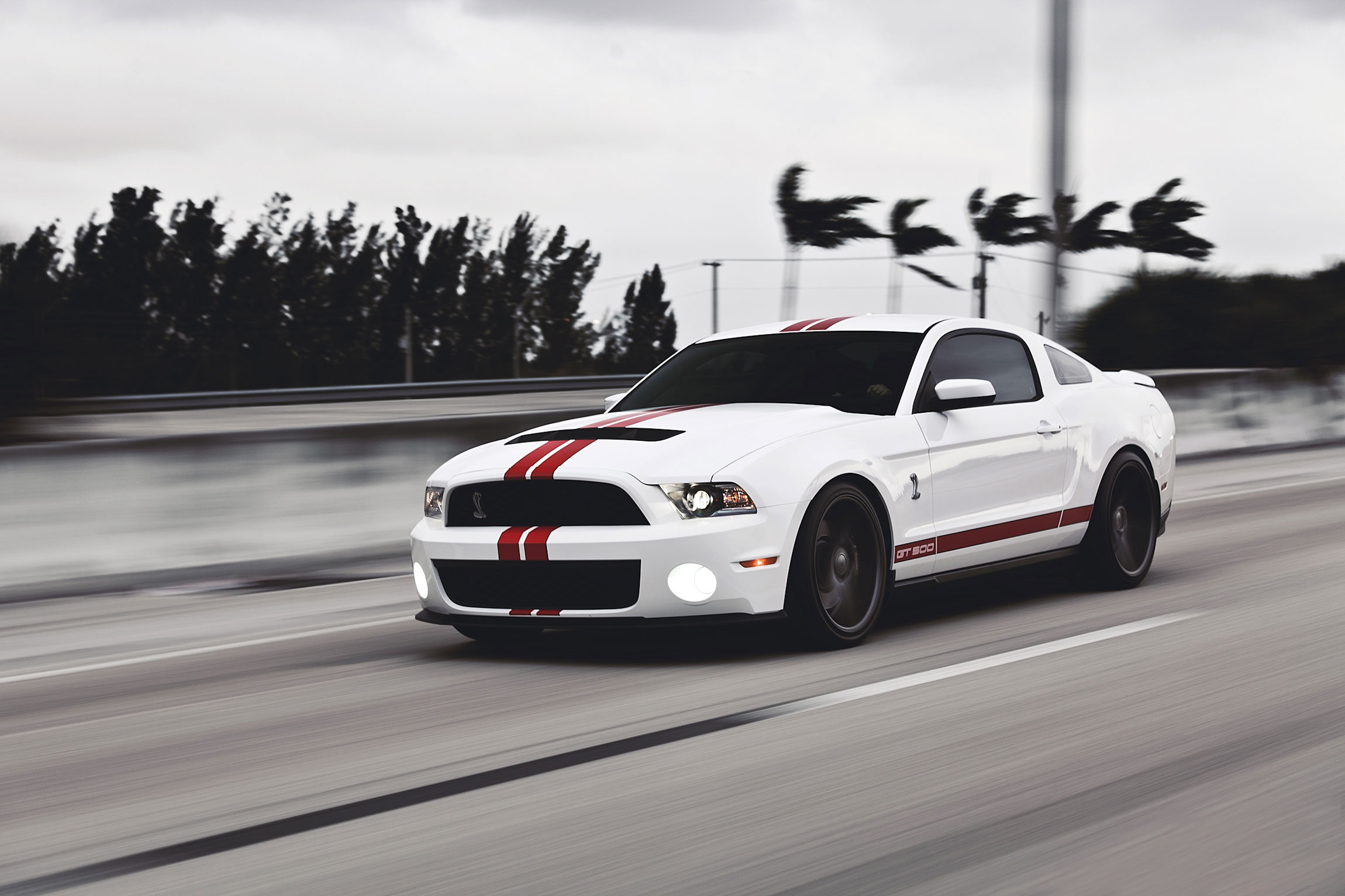 White speed. Ford Mustang Shelby gt500 White. Форд Мустанг Шелби gt 500 белый. Ford gt500 Shelby белый. Ford Mustang Shelby gt500 белая.