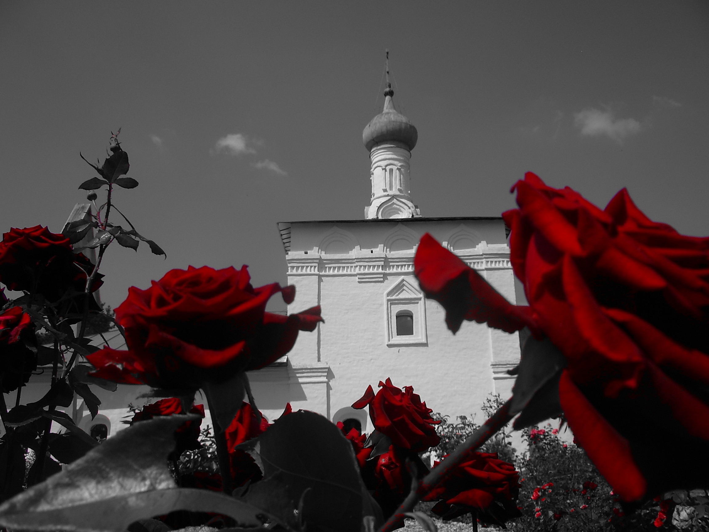 Красно черные фотографии. Храм роз. Черно белые с цветными элементами. Цветы на фоне храма. Розы на фоне храма.