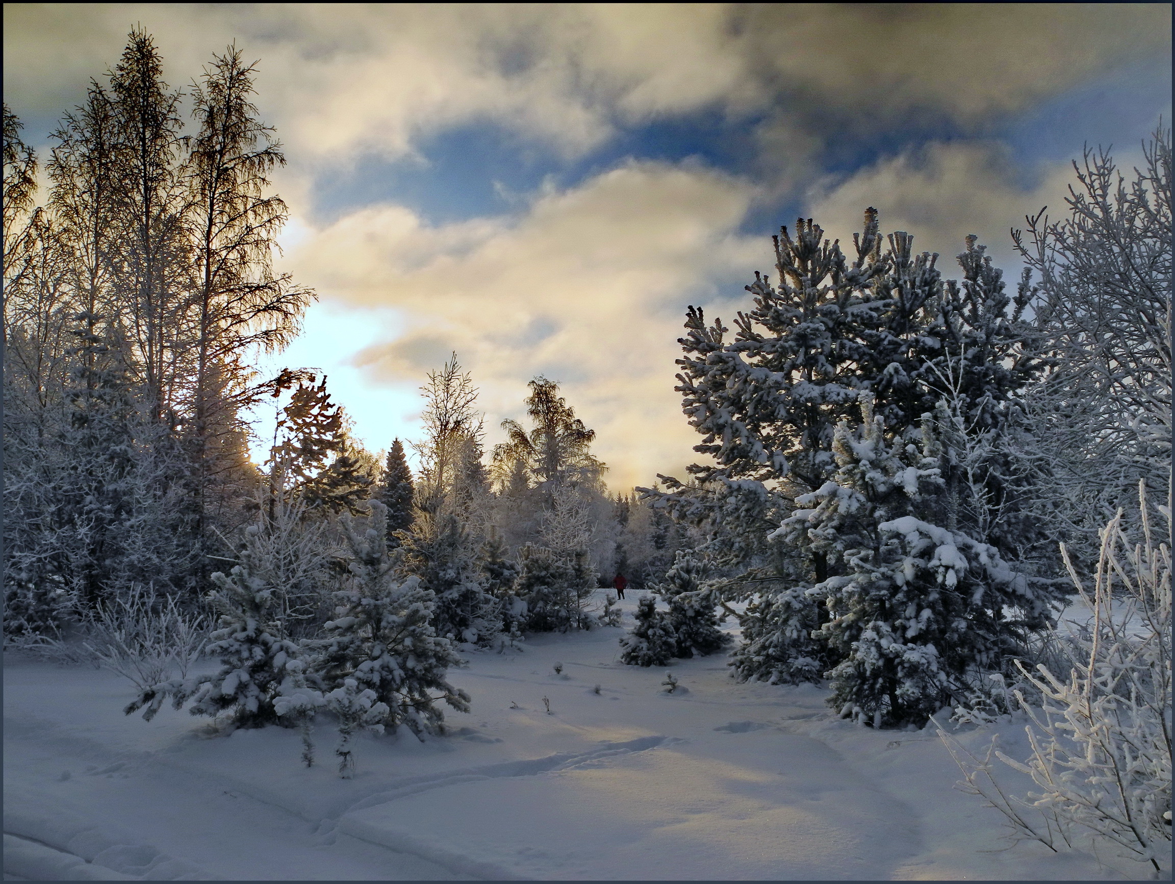 Впр на склоне зимы веселее становится февральский. Зимняя природа. Зима в лесу. Зимой в лесу. Пейзаж зимнего леса.