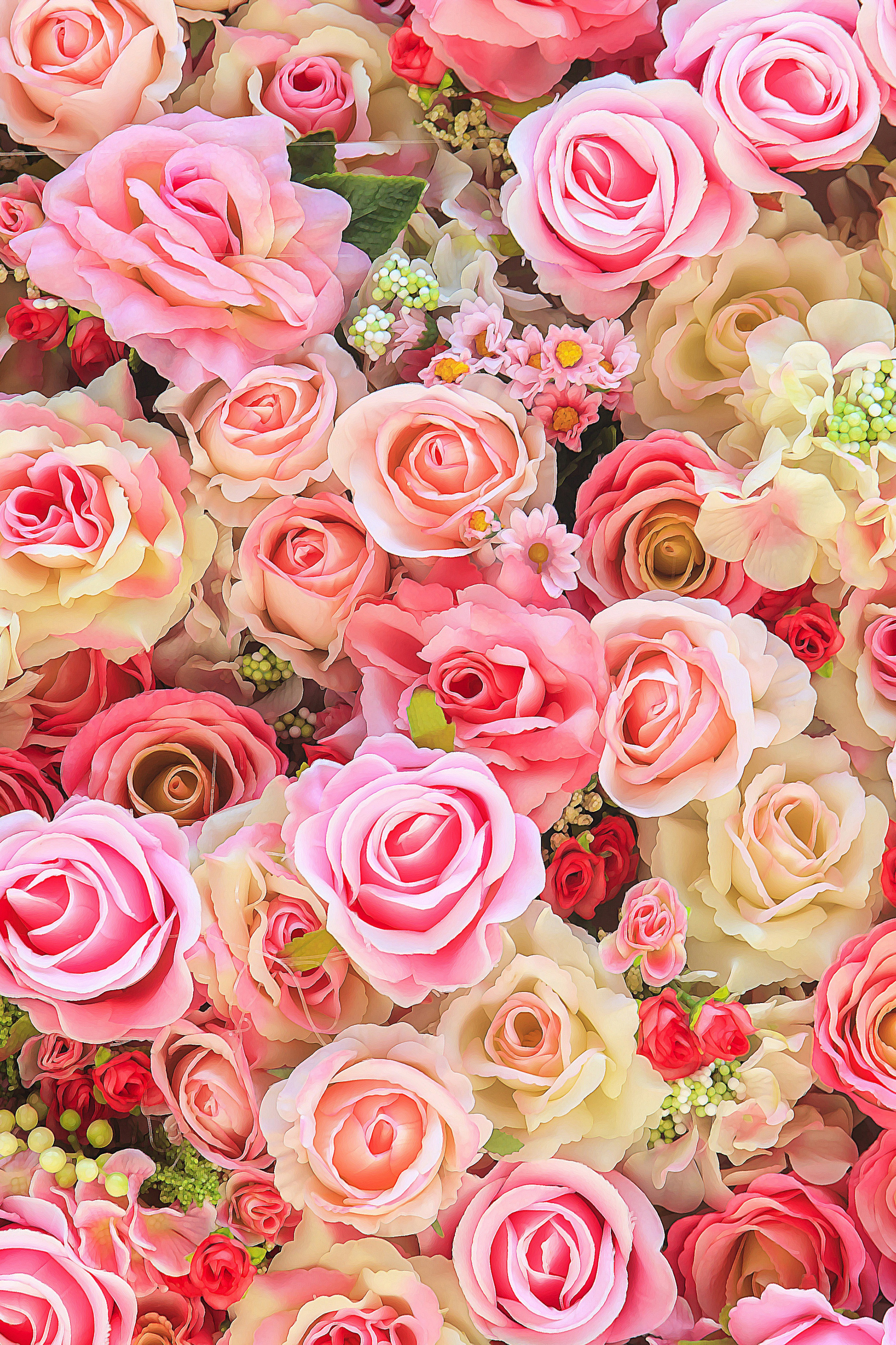 Много роз красивых. Цветочный фон. Розовые розы. Розы фон. Много роз.