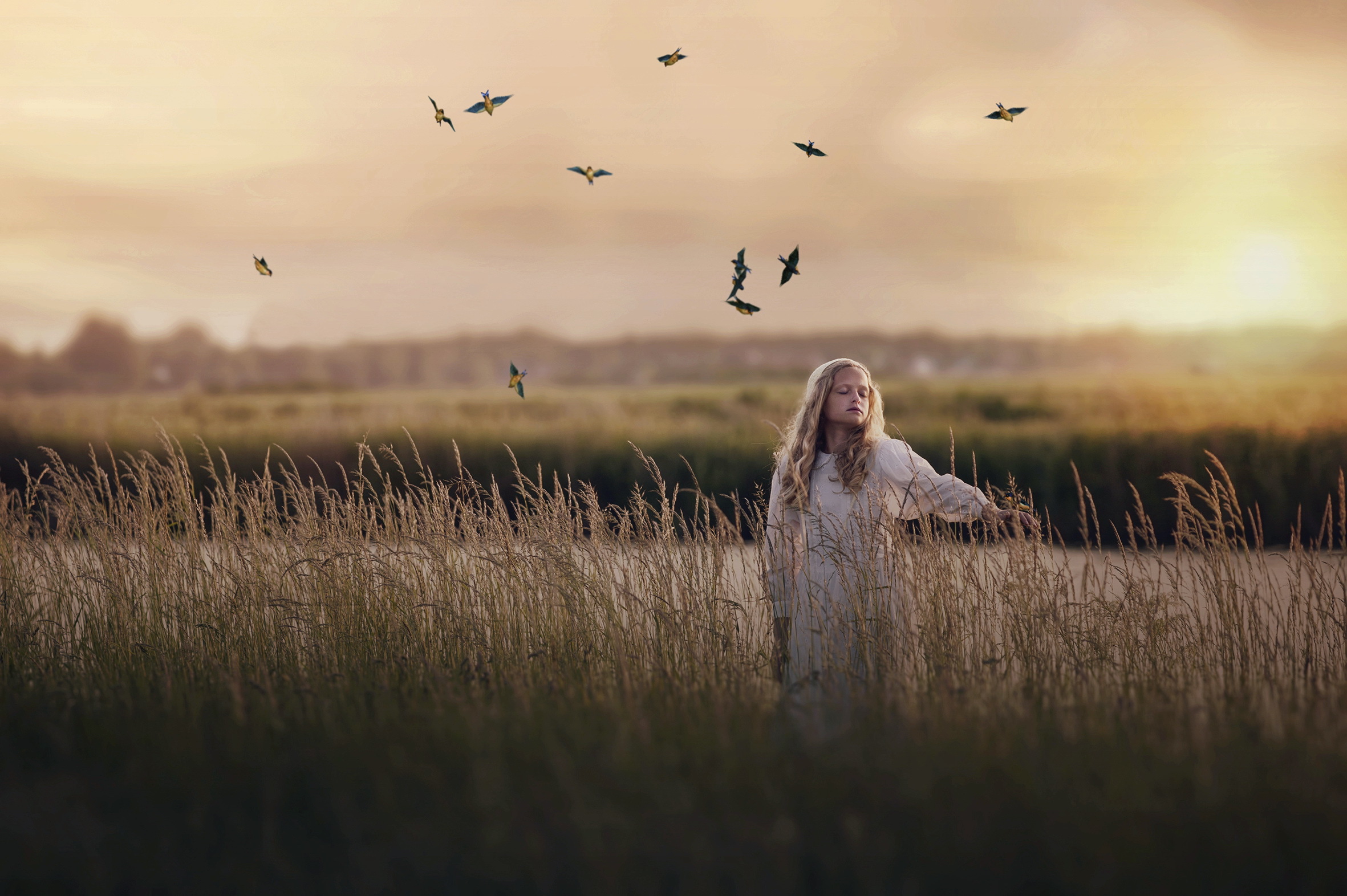 Чуть светает. Девушка в тумане. Фотосессия в тумане. Поле туман девушка. Девушка в поле с птицами.