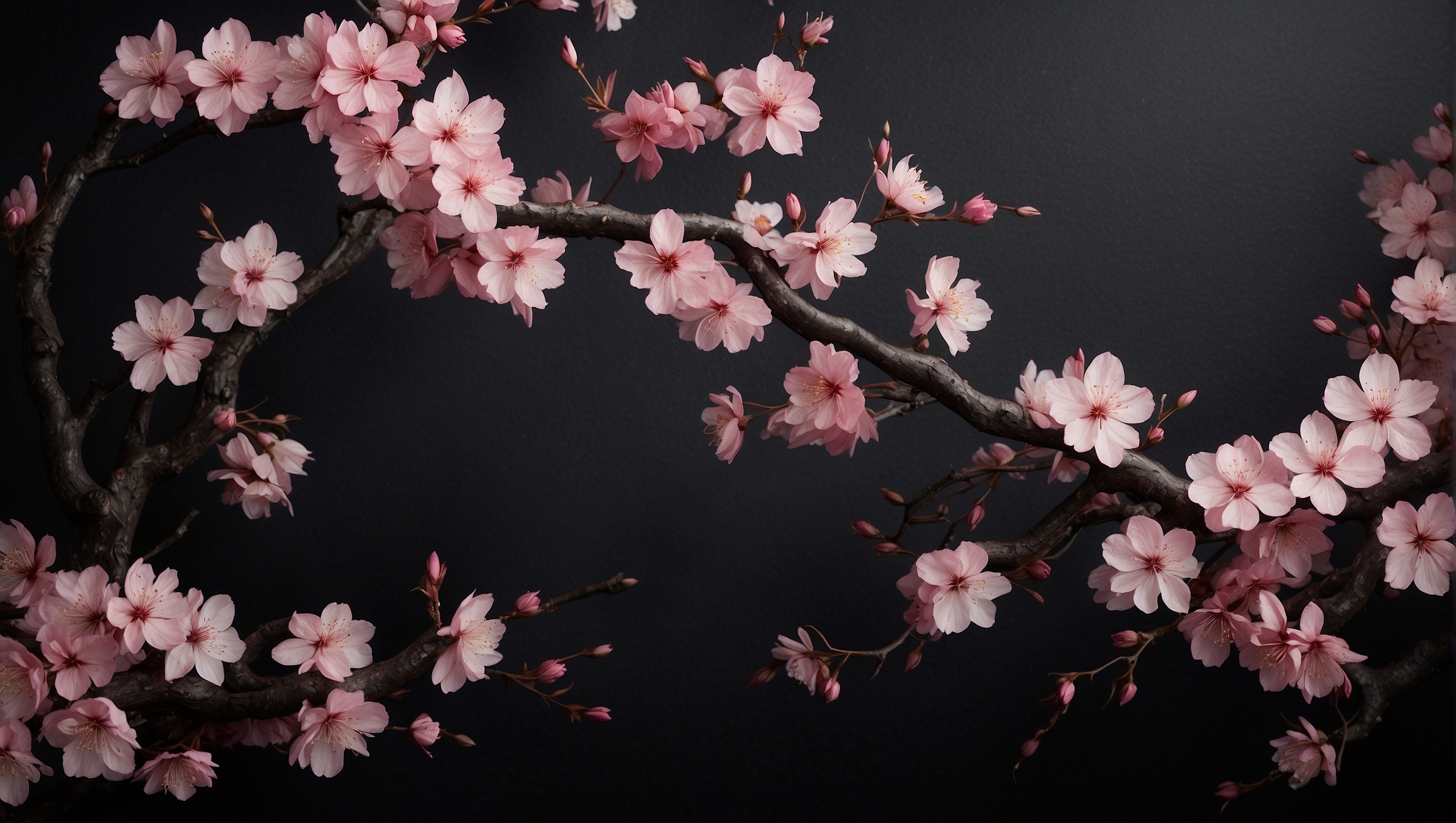 Обои pink, flowers, sakura, dark background, AI art на телефон и рабочий  стол, раздел ии арт, разрешение 2376x1344 - скачать