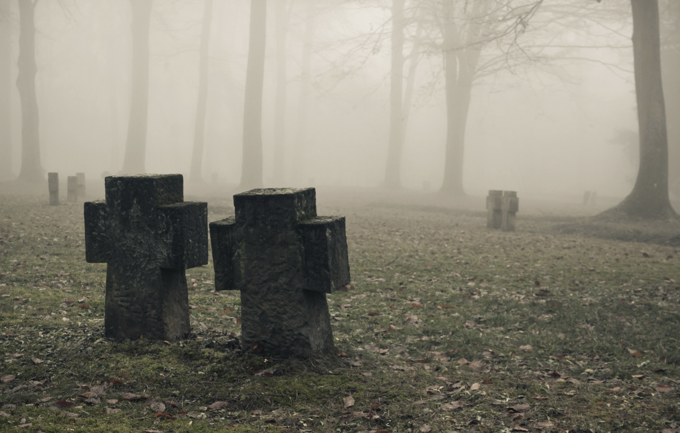 Meet you at the graveyard sovan truong. Мрачное кладбище. Кладбище в тумане. Мрачный фон кладбище. Могила в лесу.