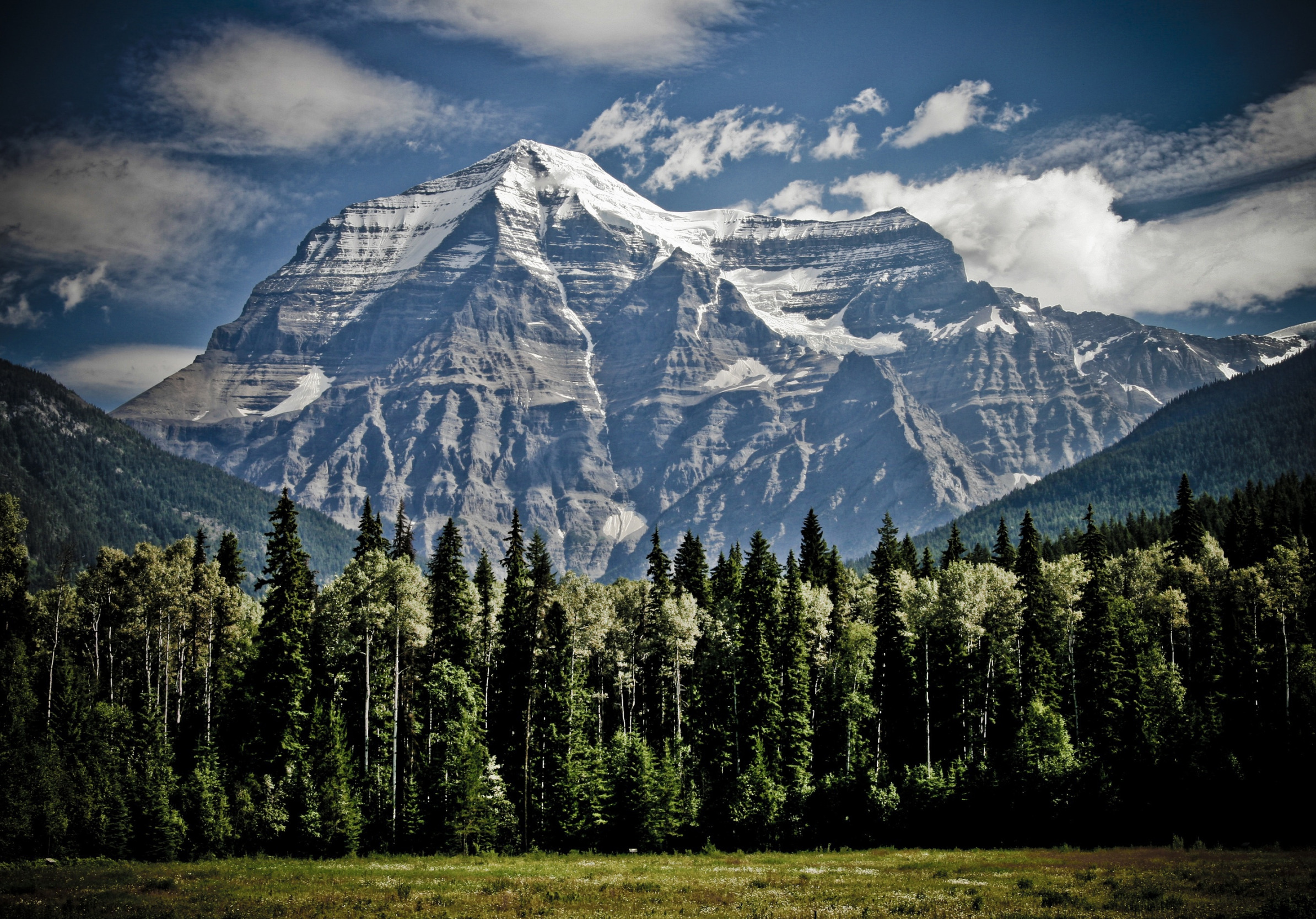 лес, трава, облака, деревья, горы, скалы, поляна