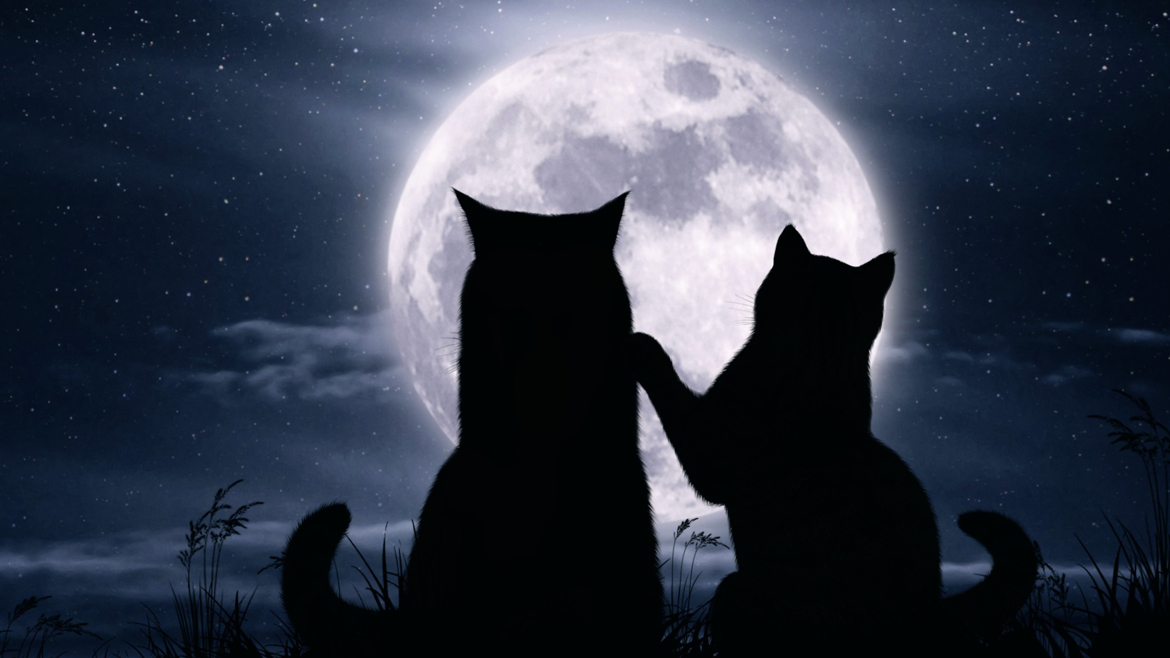 Ночь была идеальна. Кот на Луне. Ночной кот. "Лунный кот". Кот на фоне Луны.