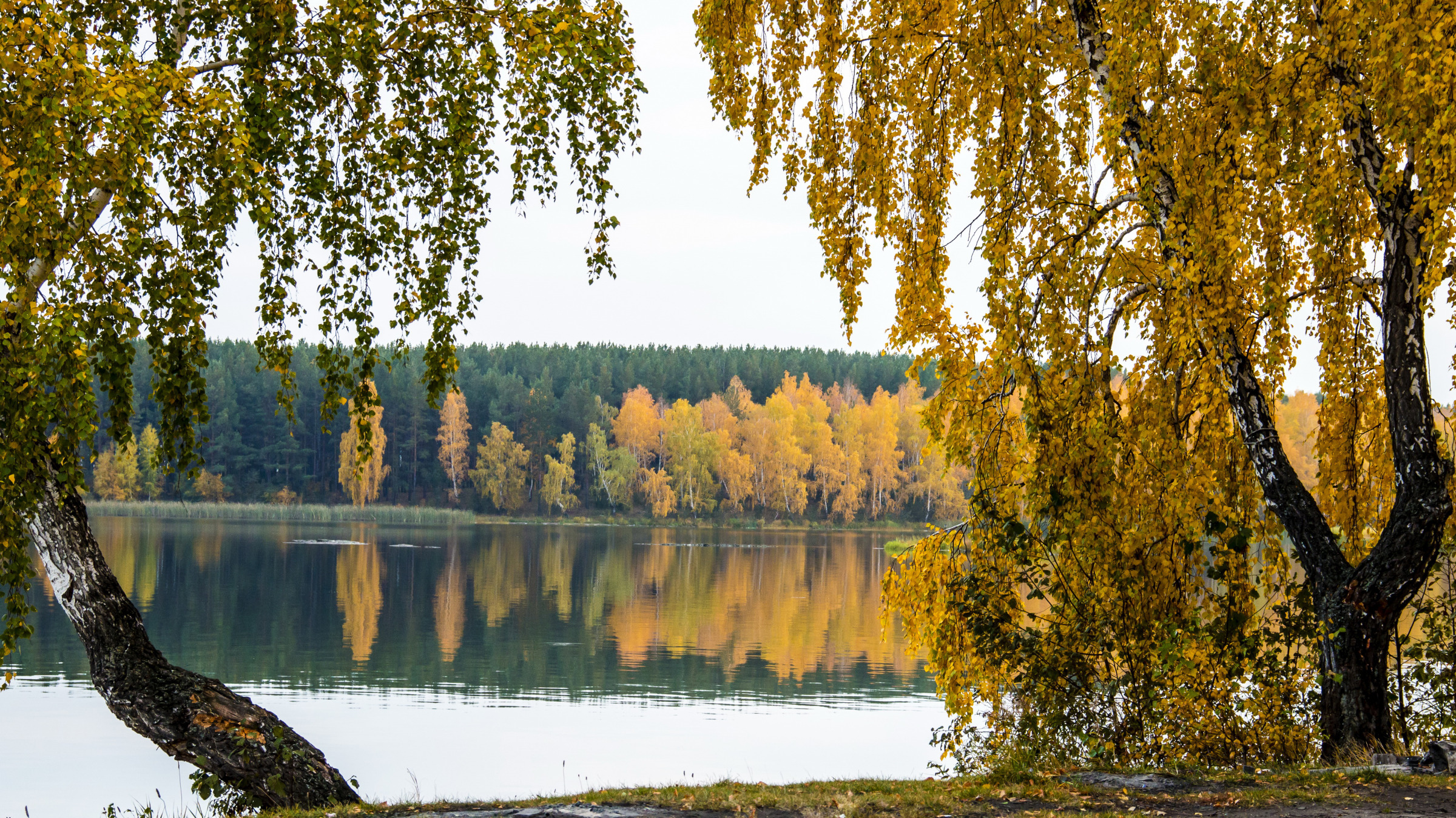 Стол речка