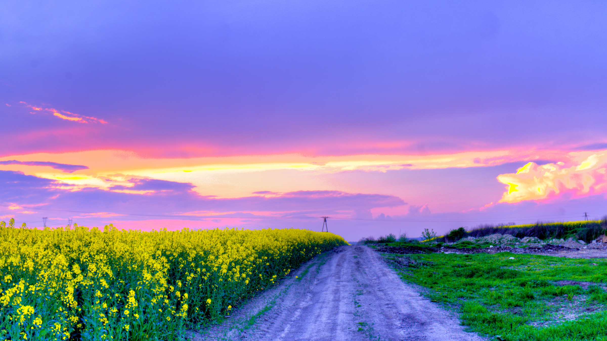 Пейзаж в даль. Летняя дорога. Природа дорога. Дорога в цветочном поле. Дорога в поле.