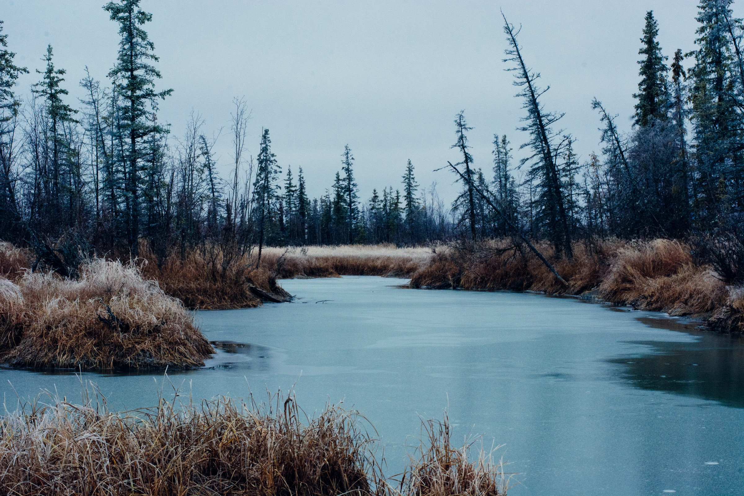 Болотная зима. Болото Юпяужшуо Карелия. Замерзшее болото. Зимнее болото. Ледяное болото.