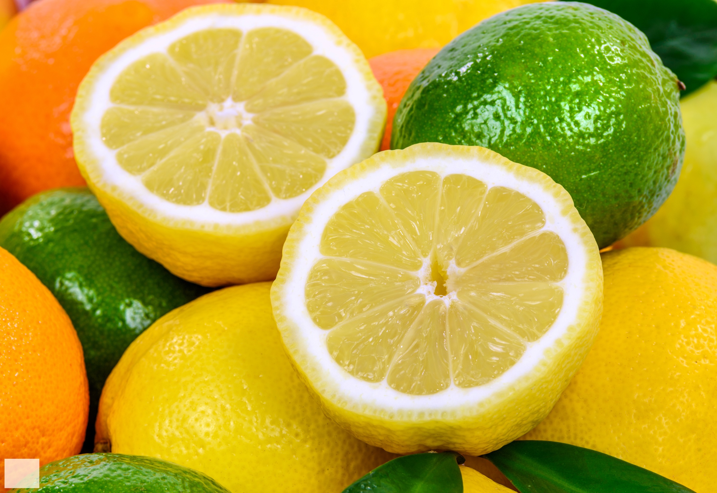 Лимон цитрусовые фрукты. Лайм цитрус. Цитрон лайм. Апельсин лимон лайм. Цитрус апельсин.