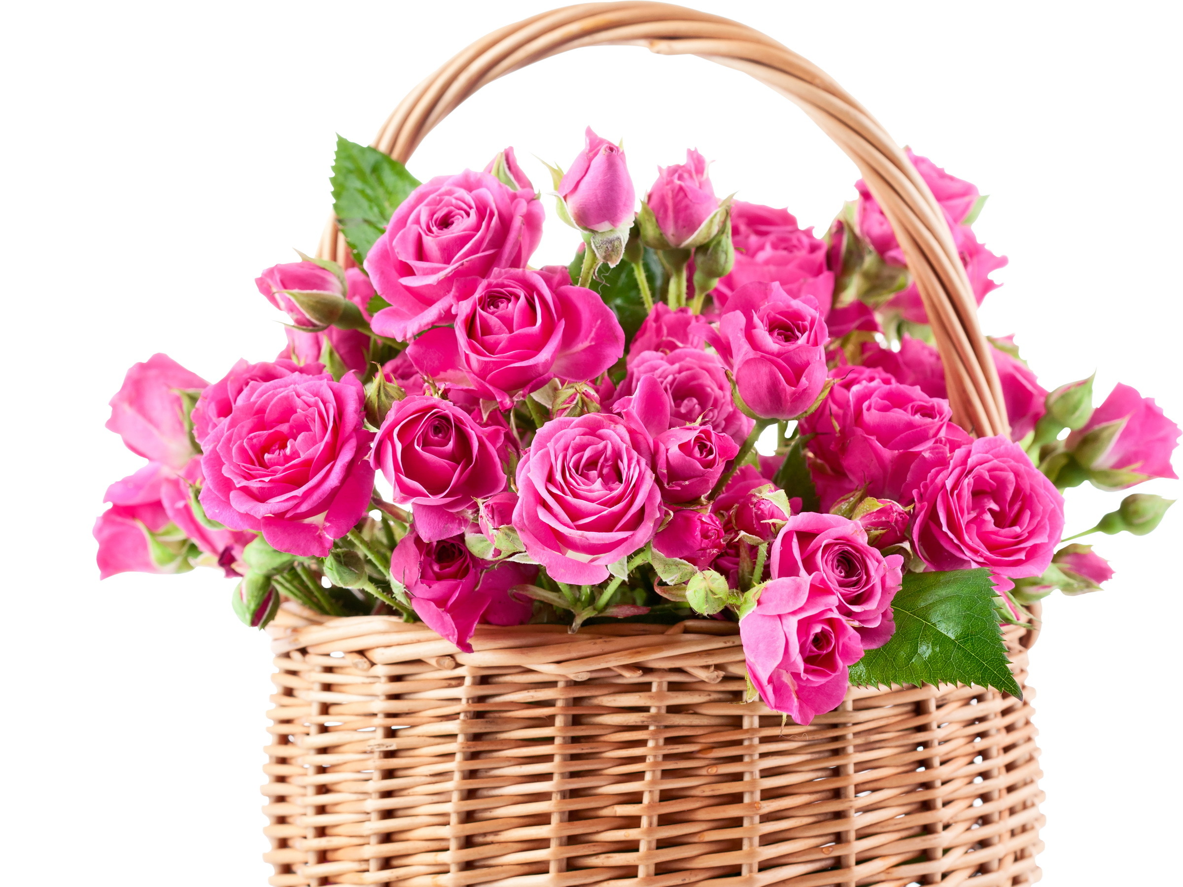 Корзина роз с днем рождения. Корзина с цветами. Шикарные цветы. Цветы букеты красивые. Корзинка с розами.